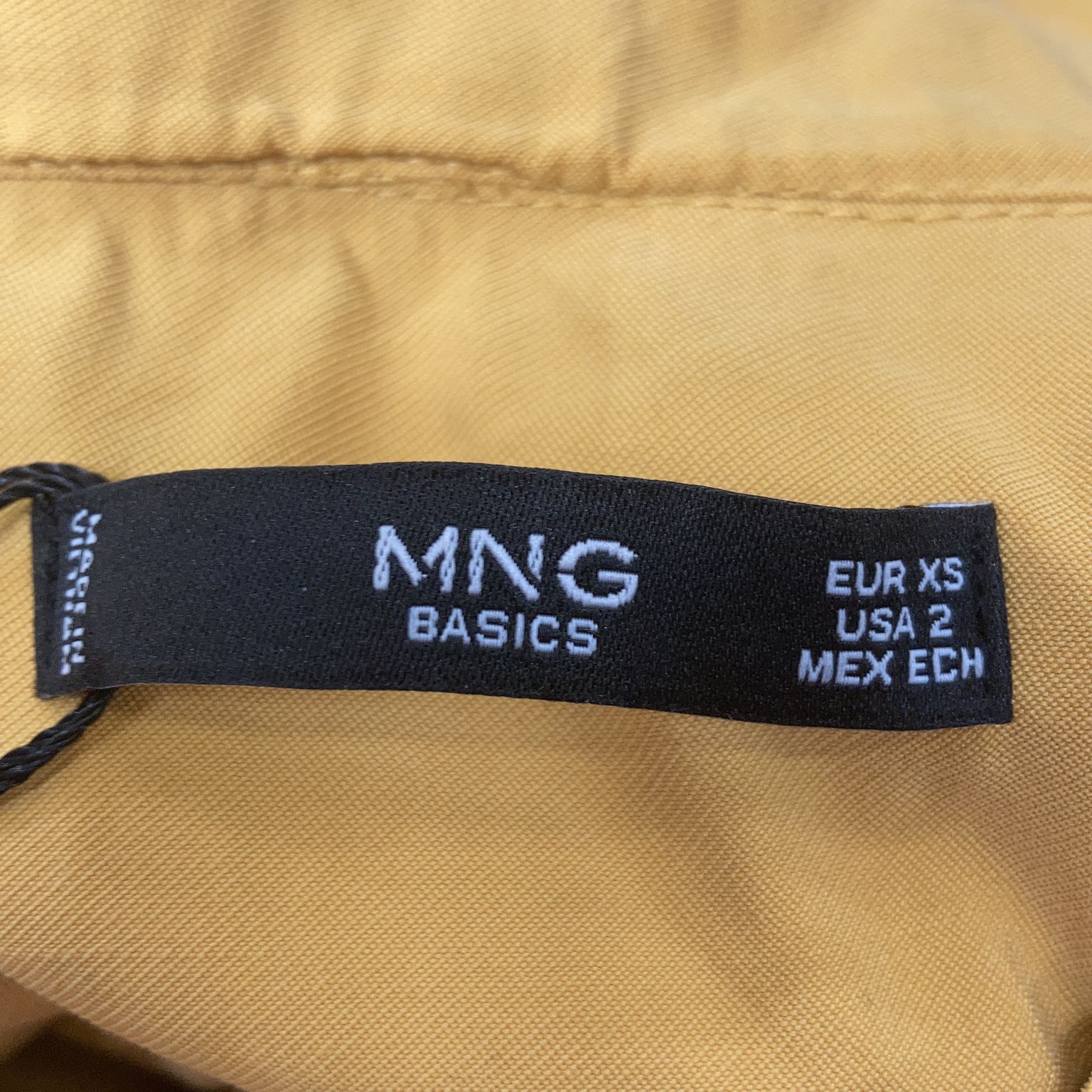 Mango Basics