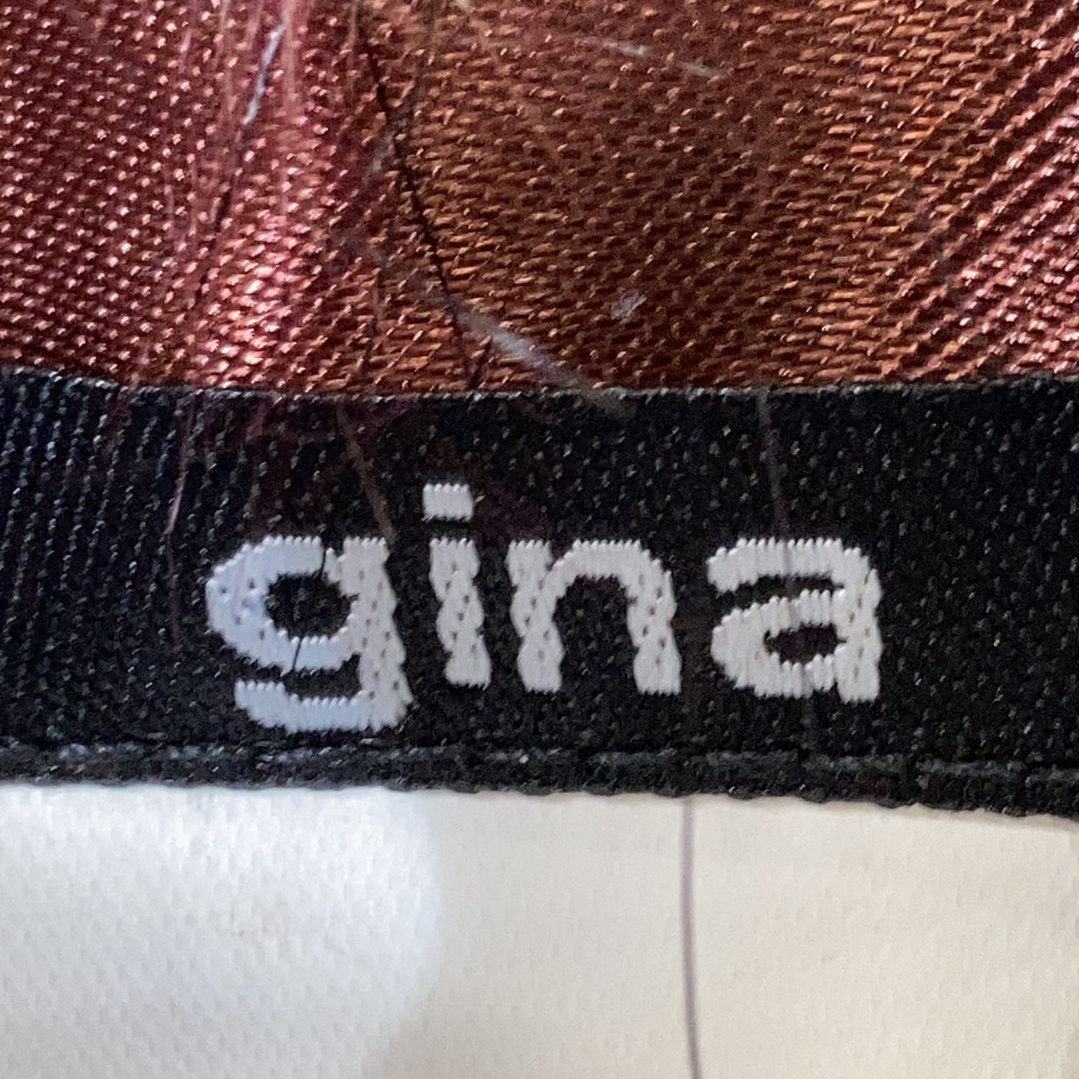 Gina