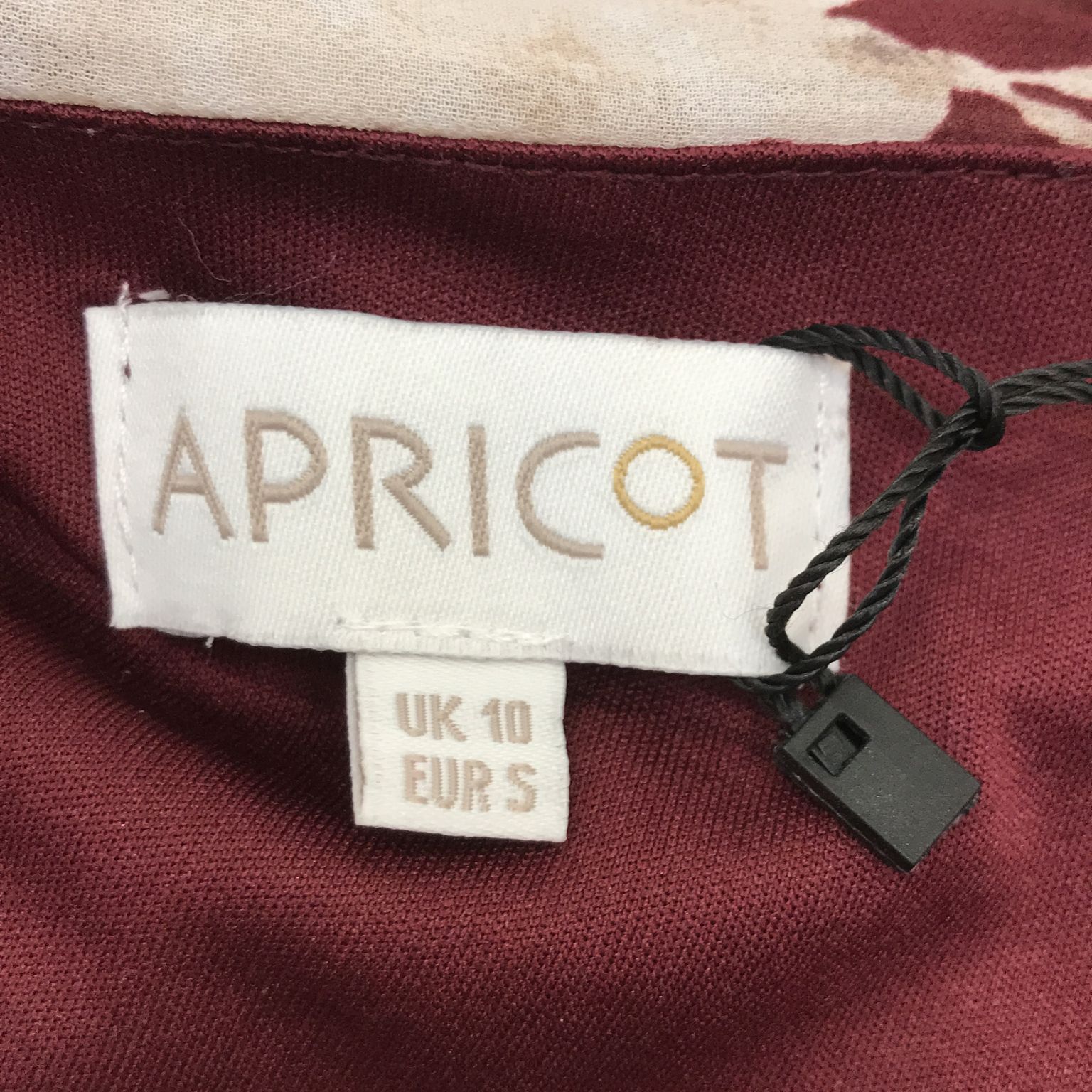 Apricot