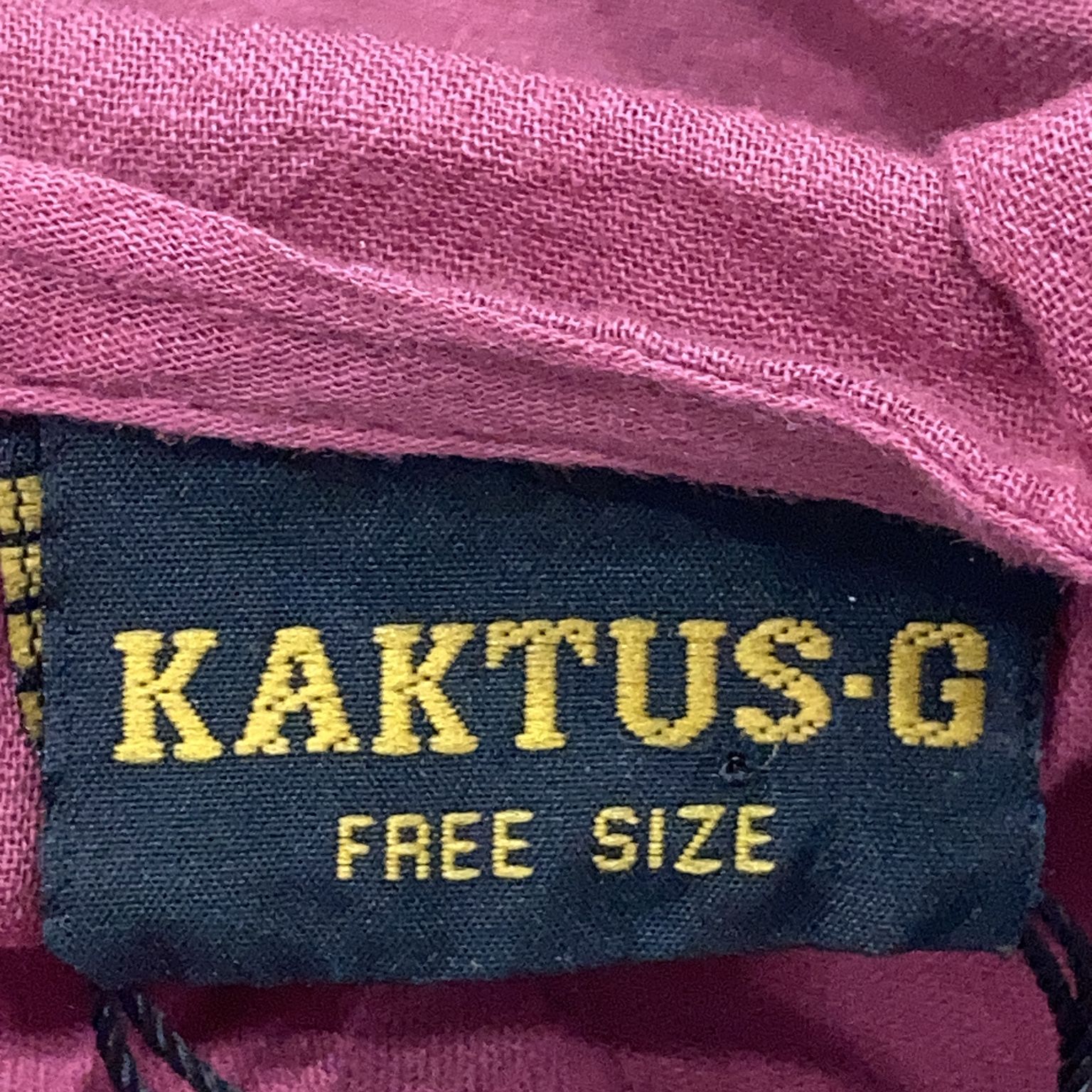 Kaktus