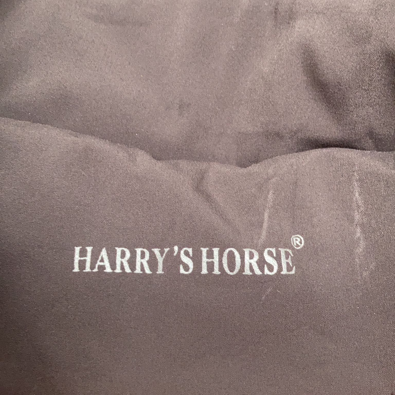 Harry's Horse