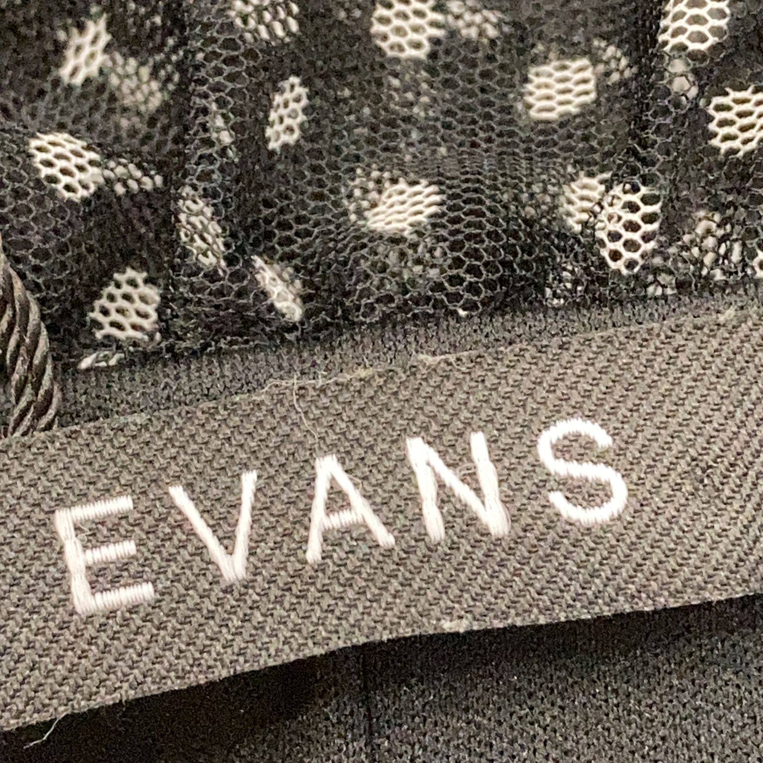 Evans