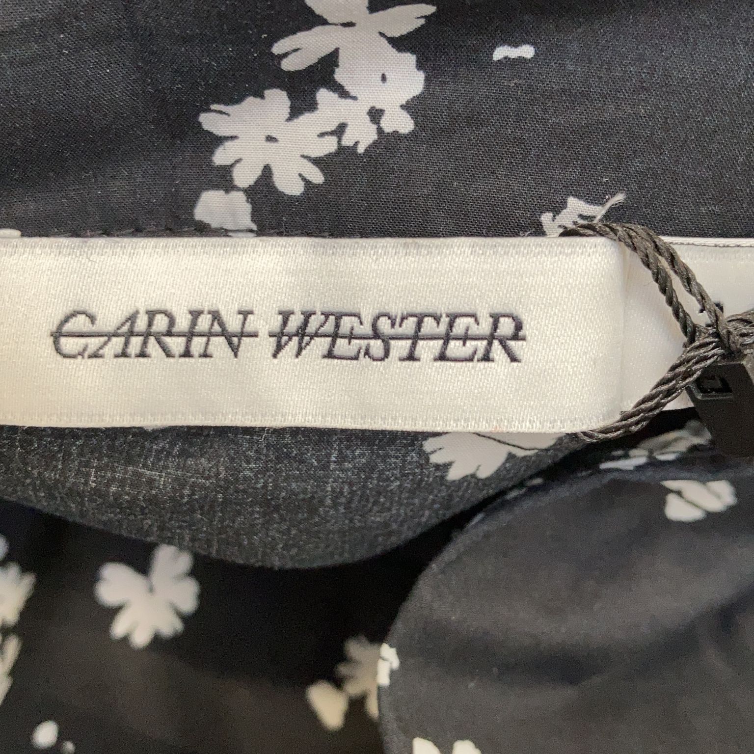 Carin Wester