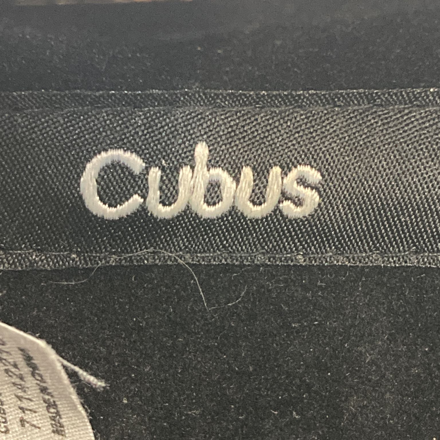 Cubus