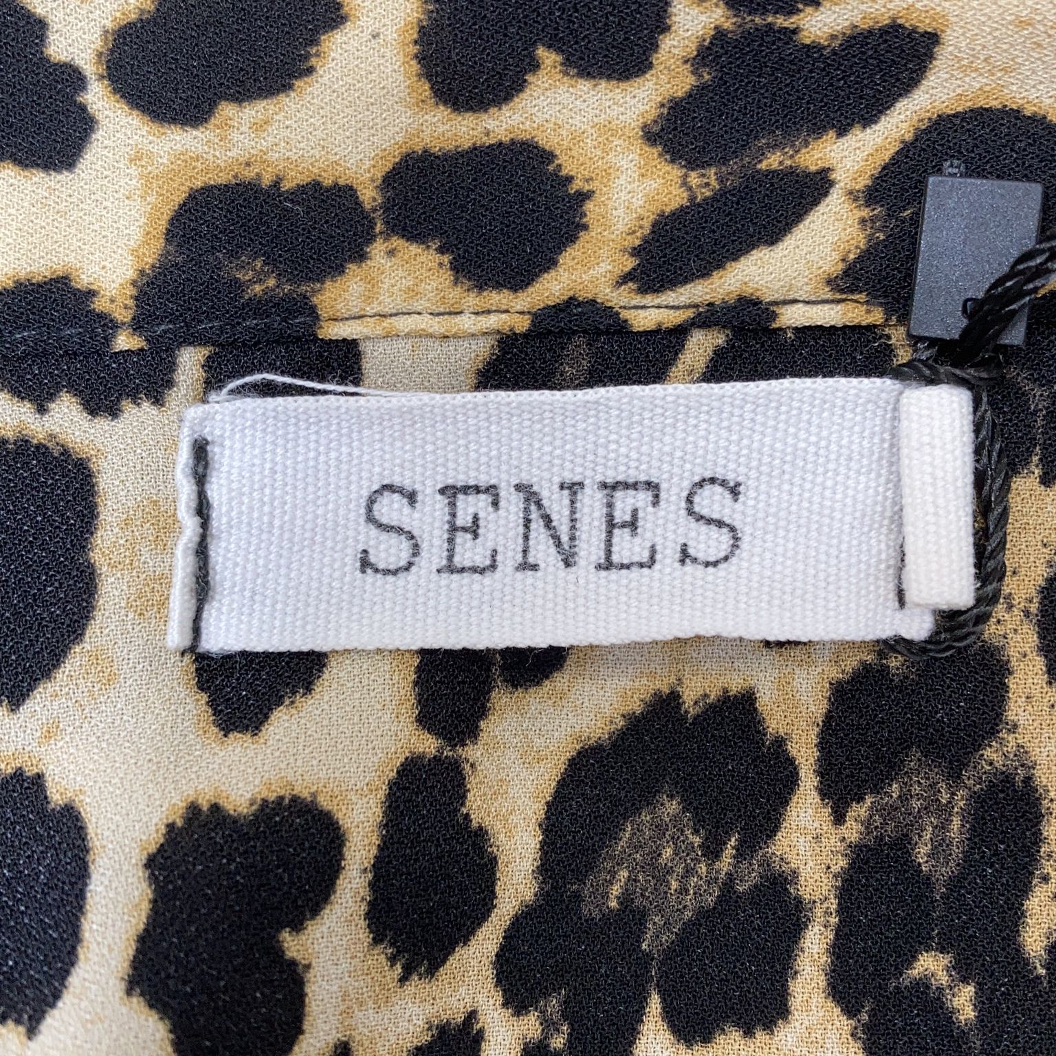 Senes