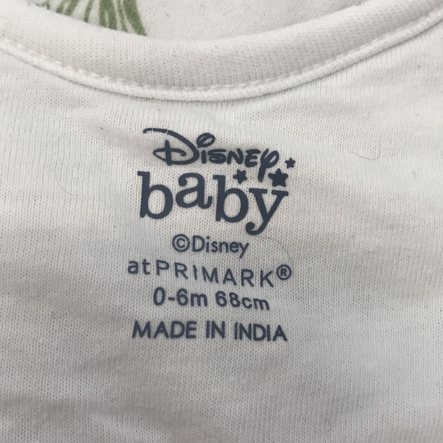 Disney Baby