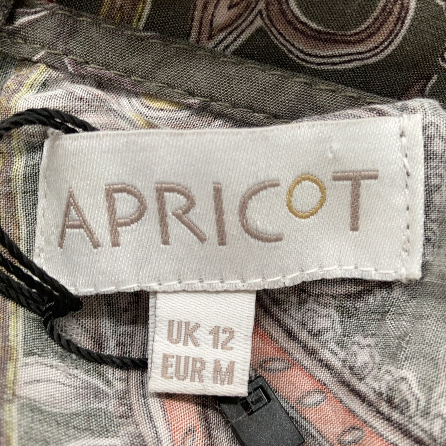 Apricot