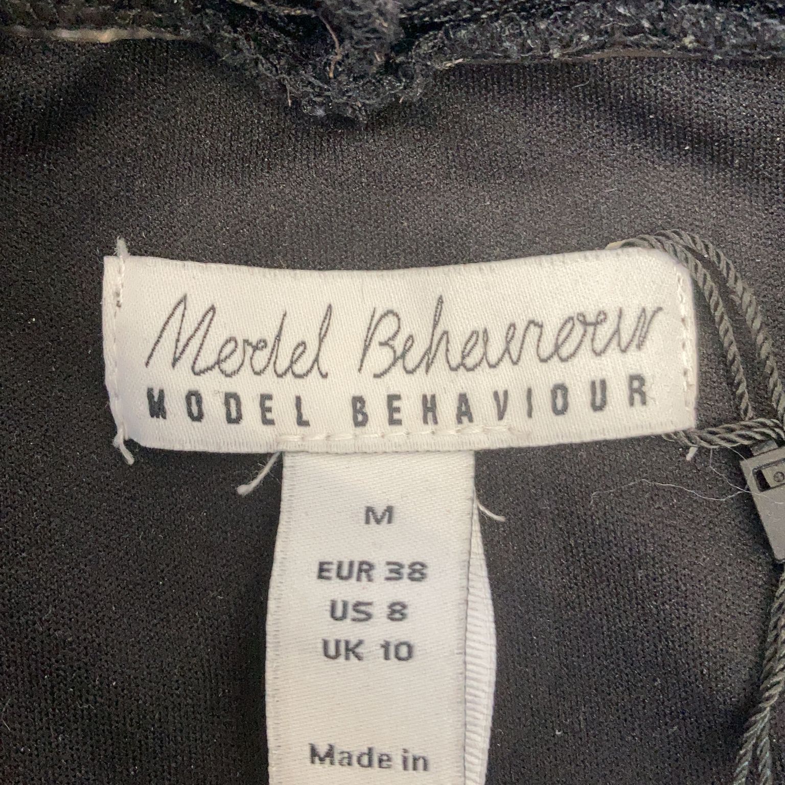 Model Behaviour