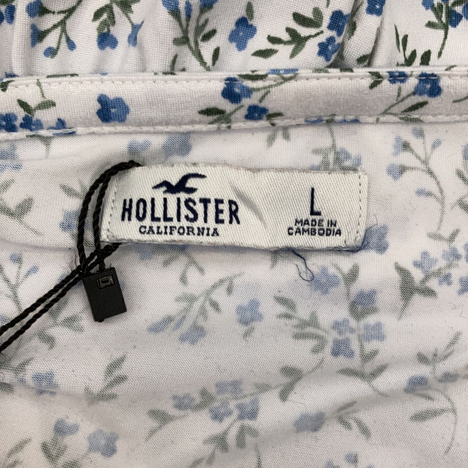 Hollister