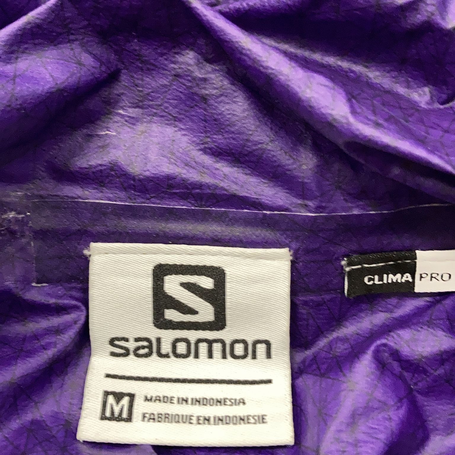 Salomon