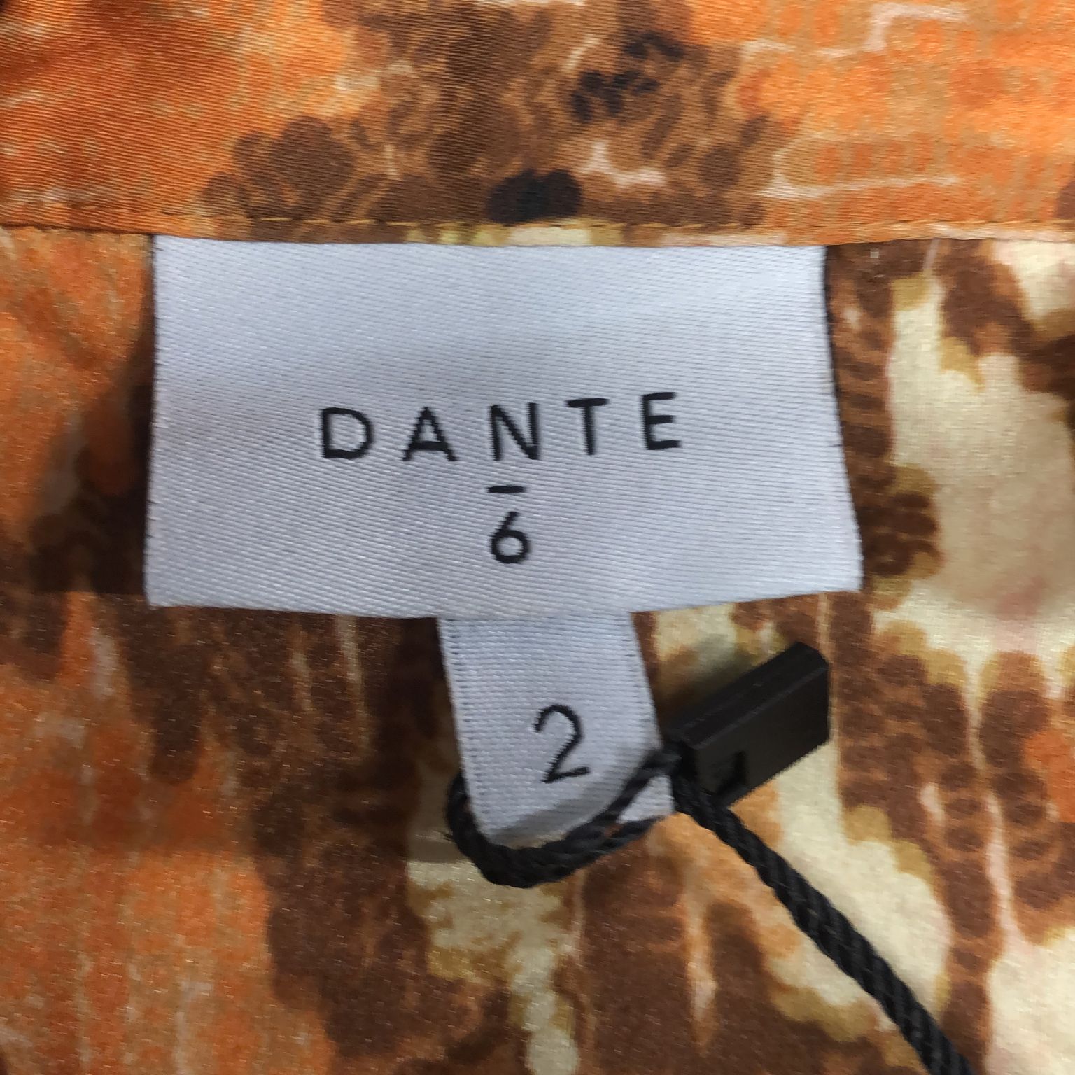 Dante 6