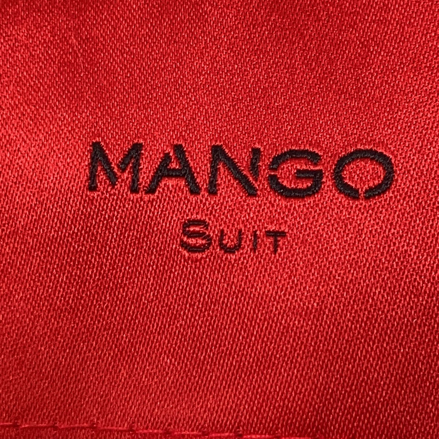 Mango Suit