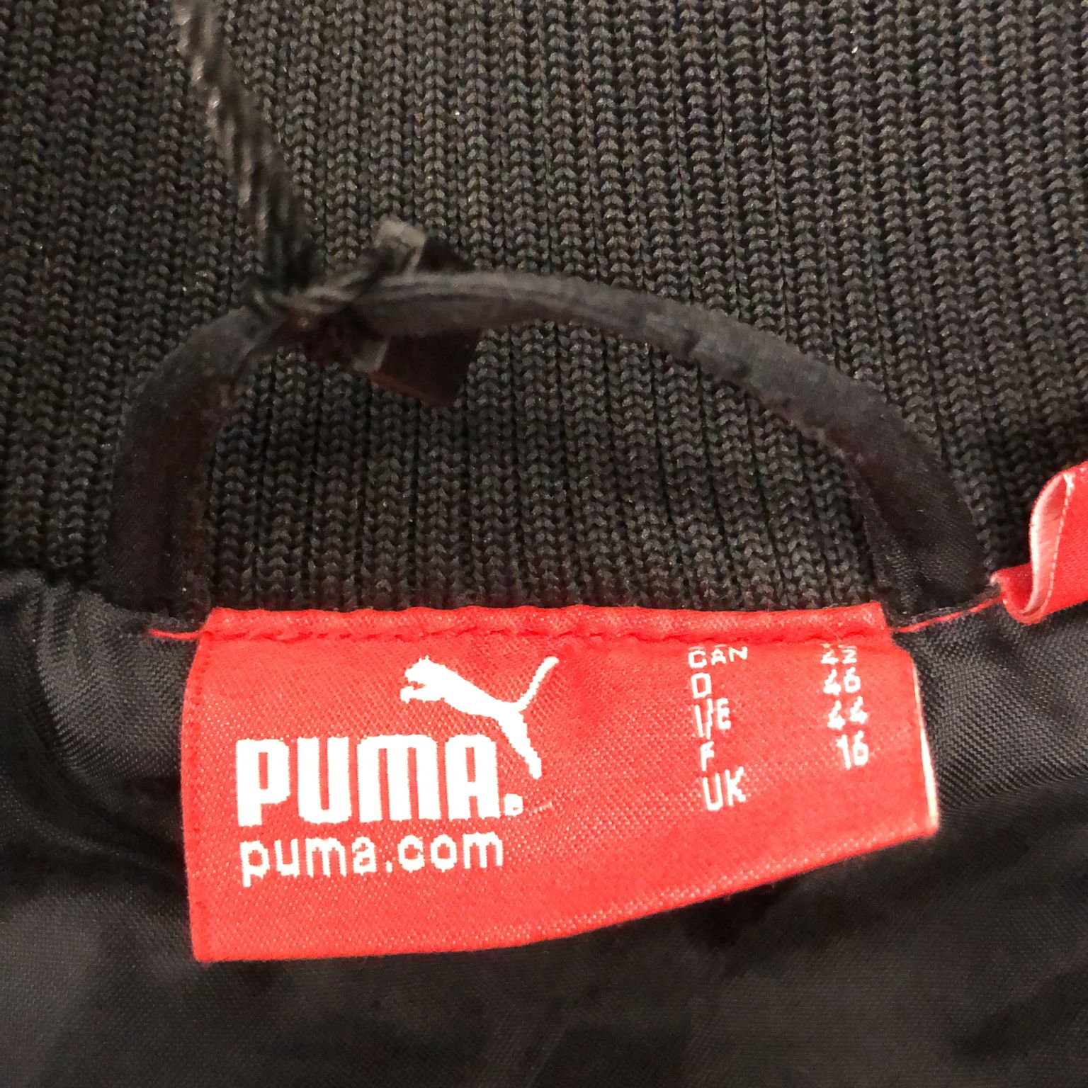 Puma