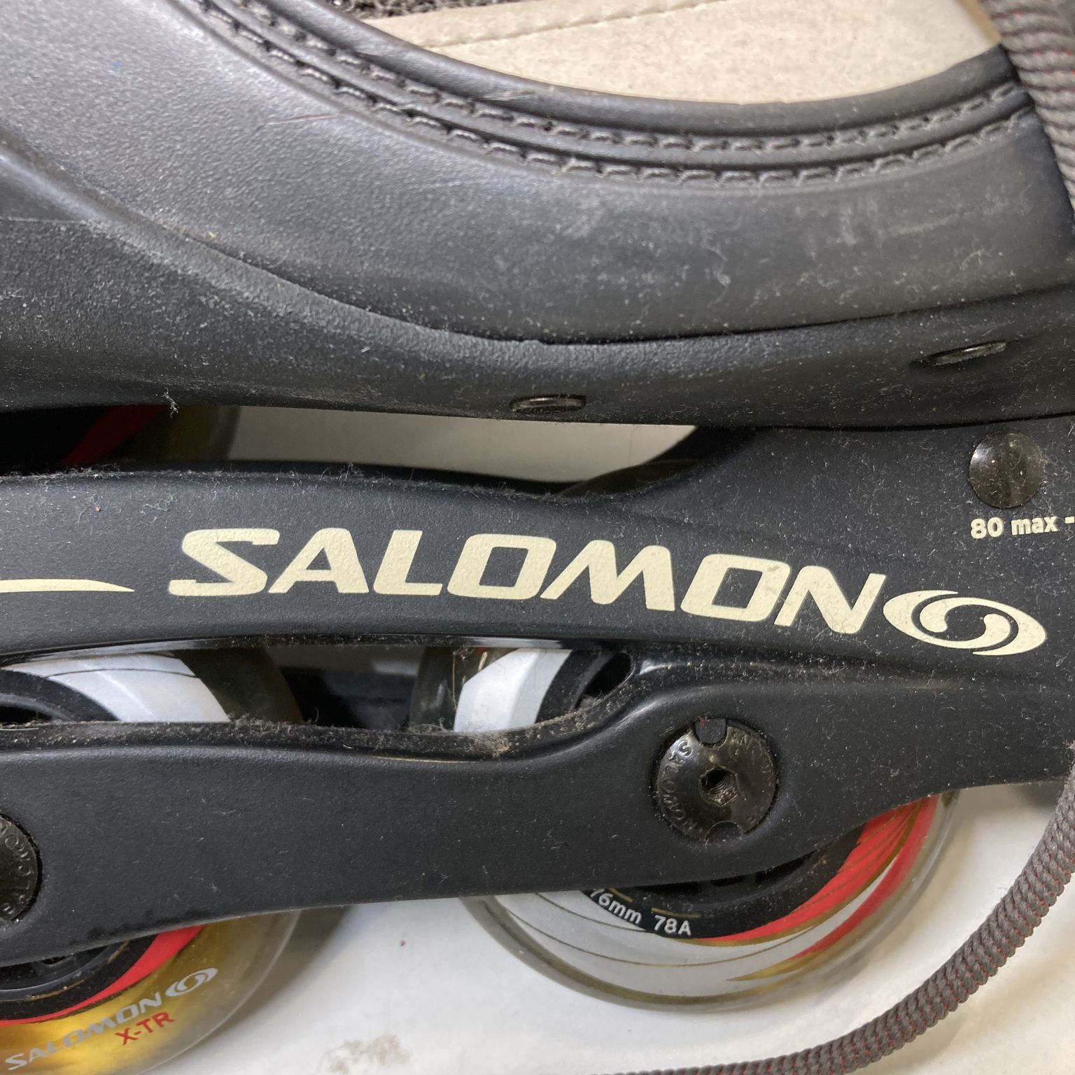 Salomon