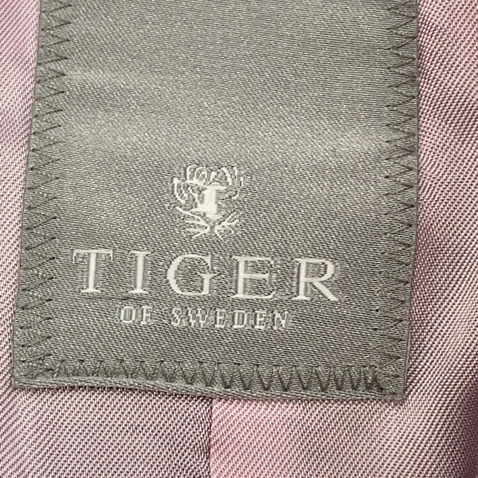 Tiger of Sweden