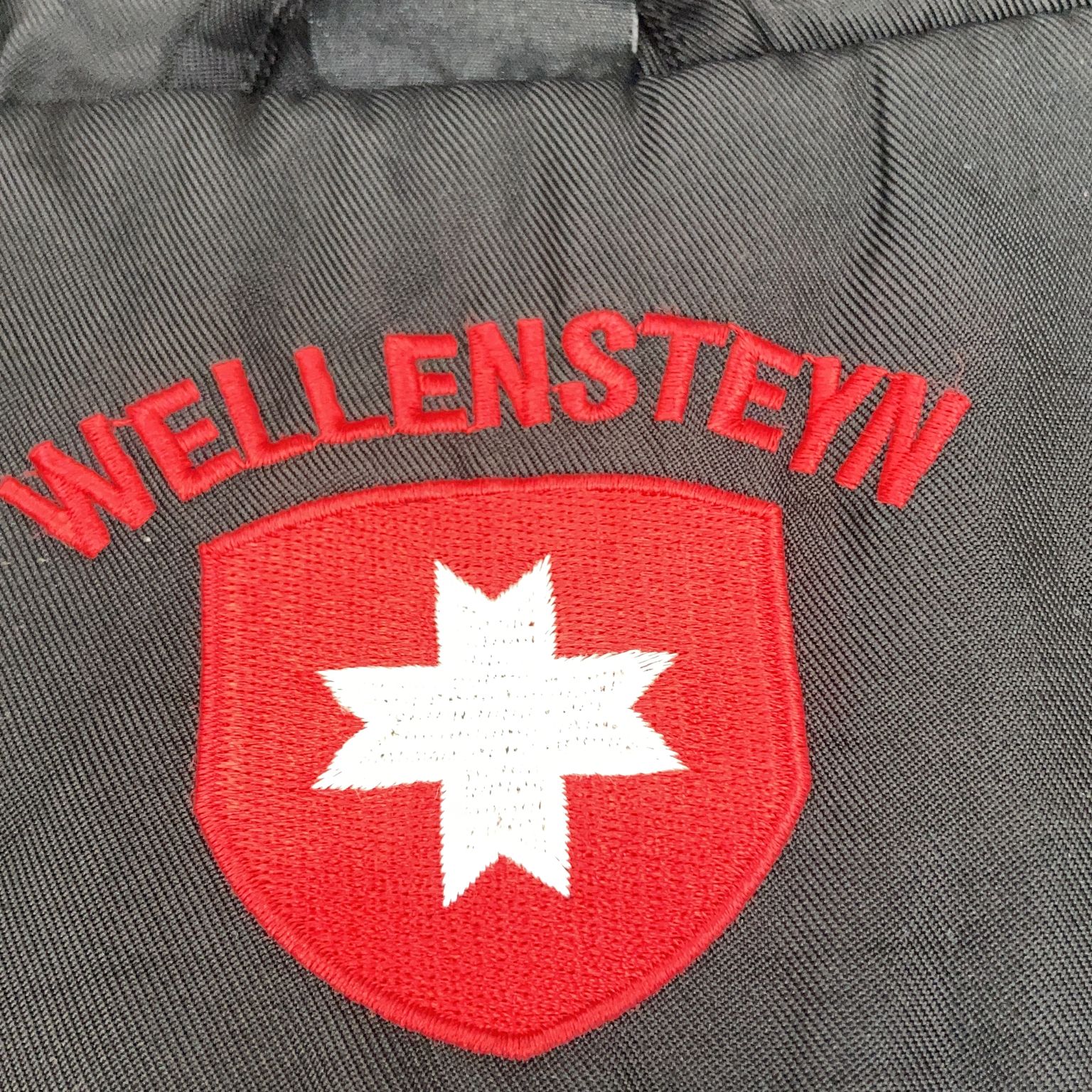 Wellensteyn