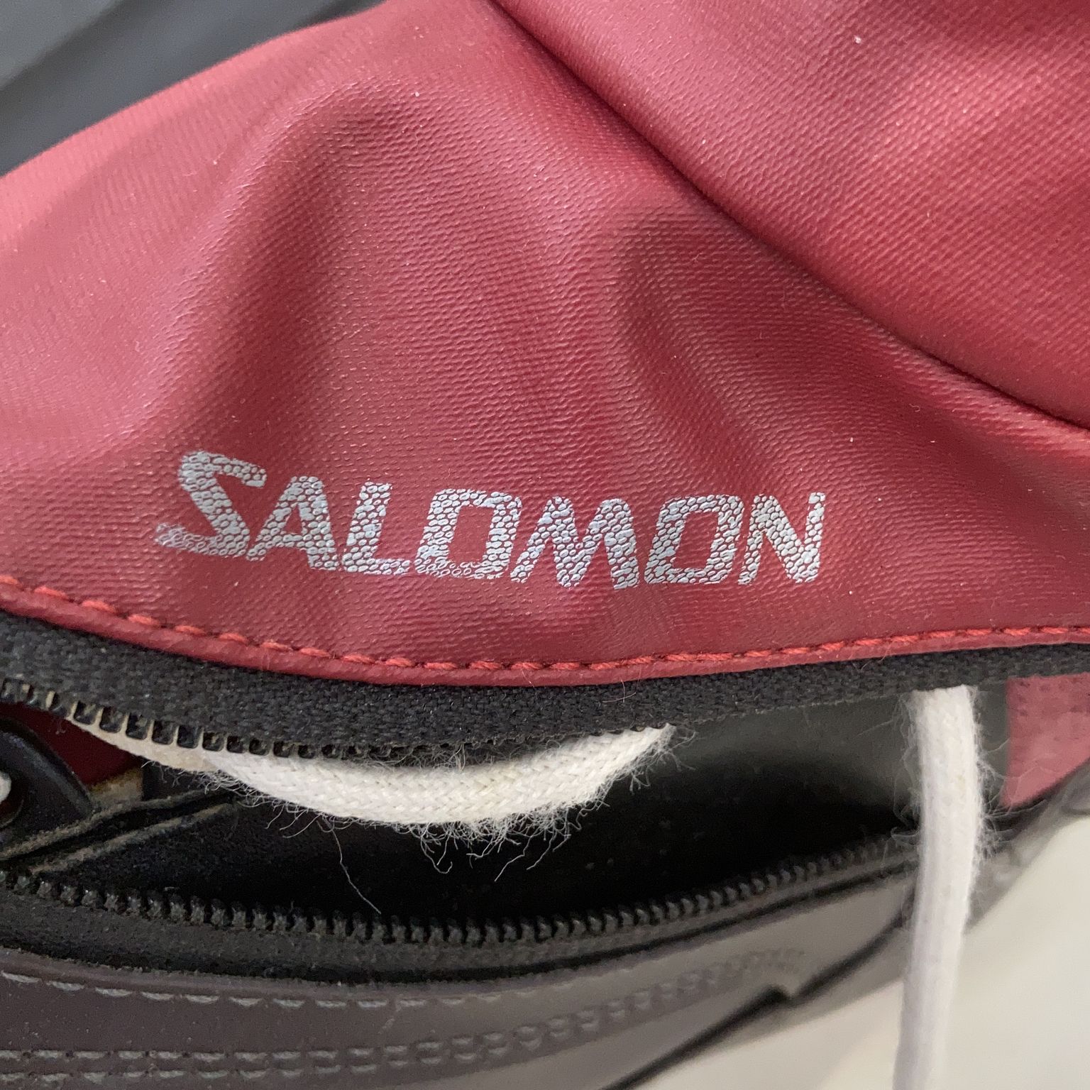 Salomon