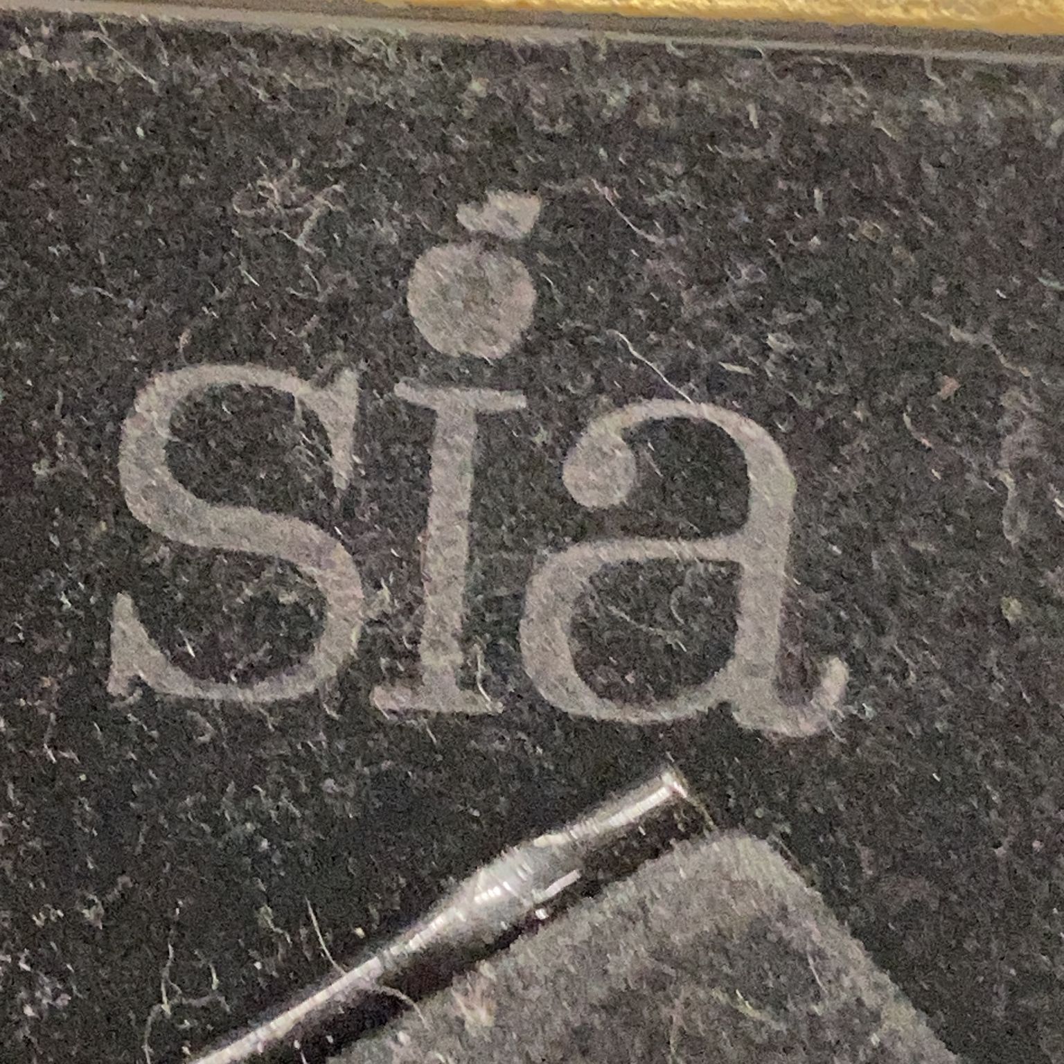 Sia