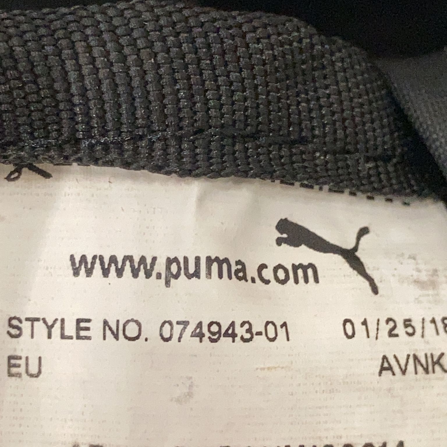 Puma