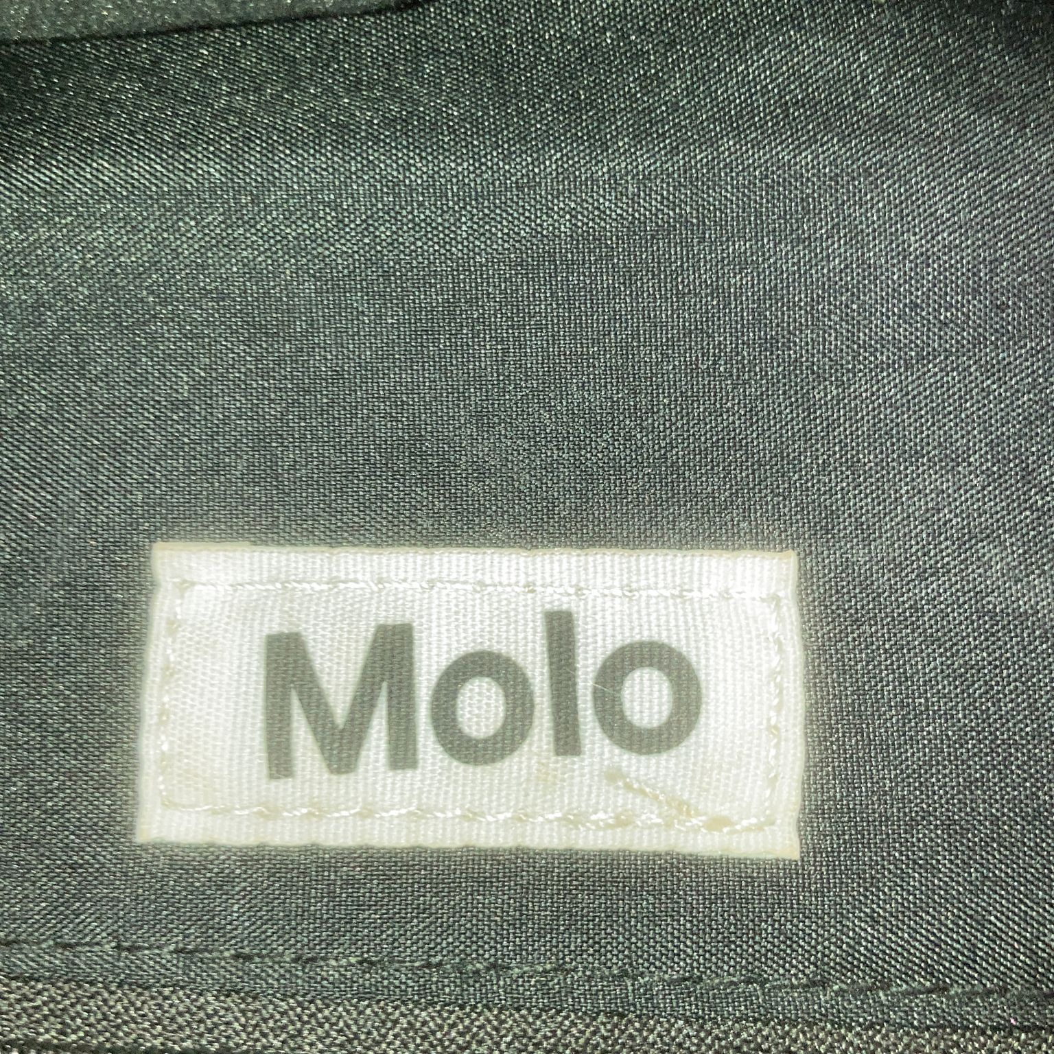 Molo