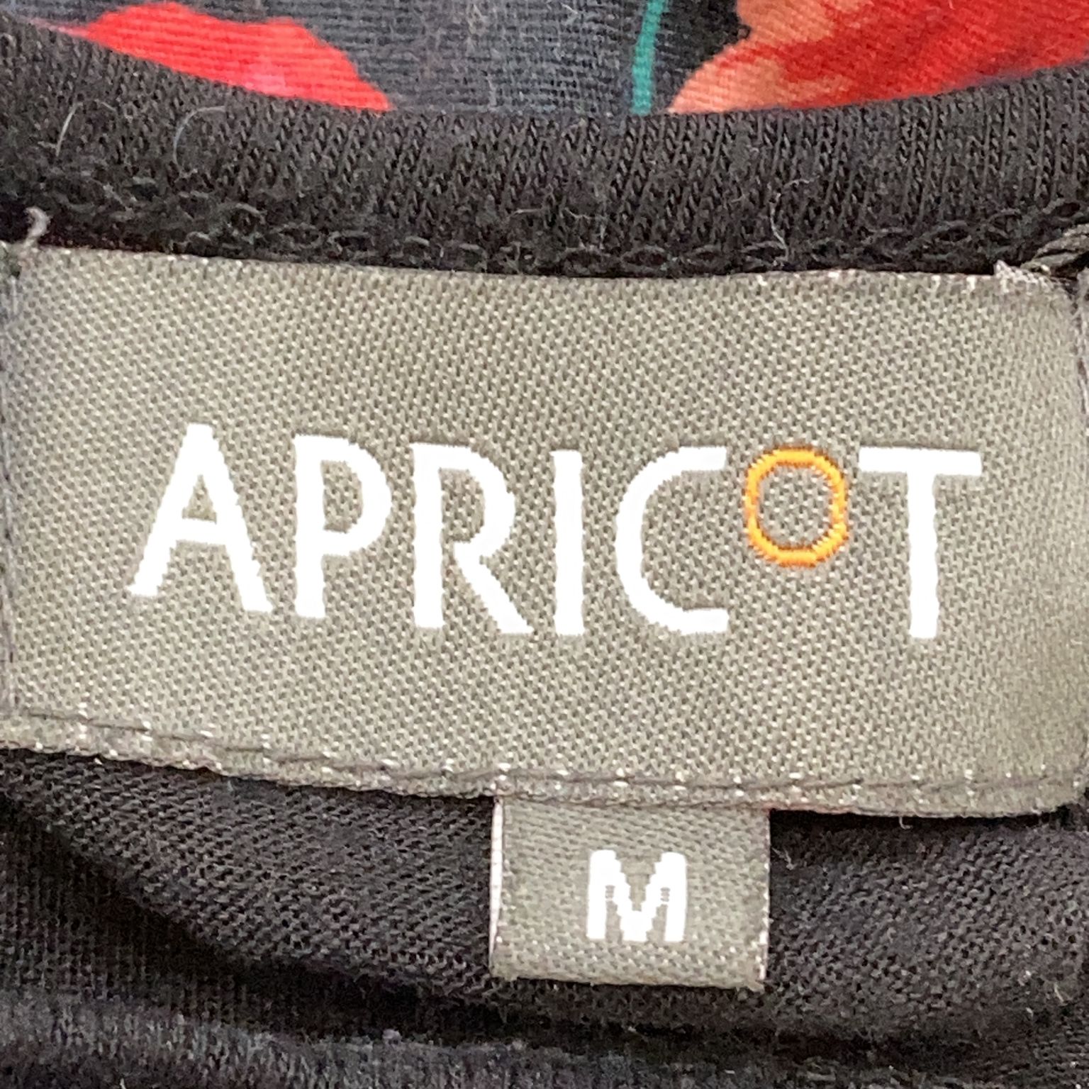 Apricot