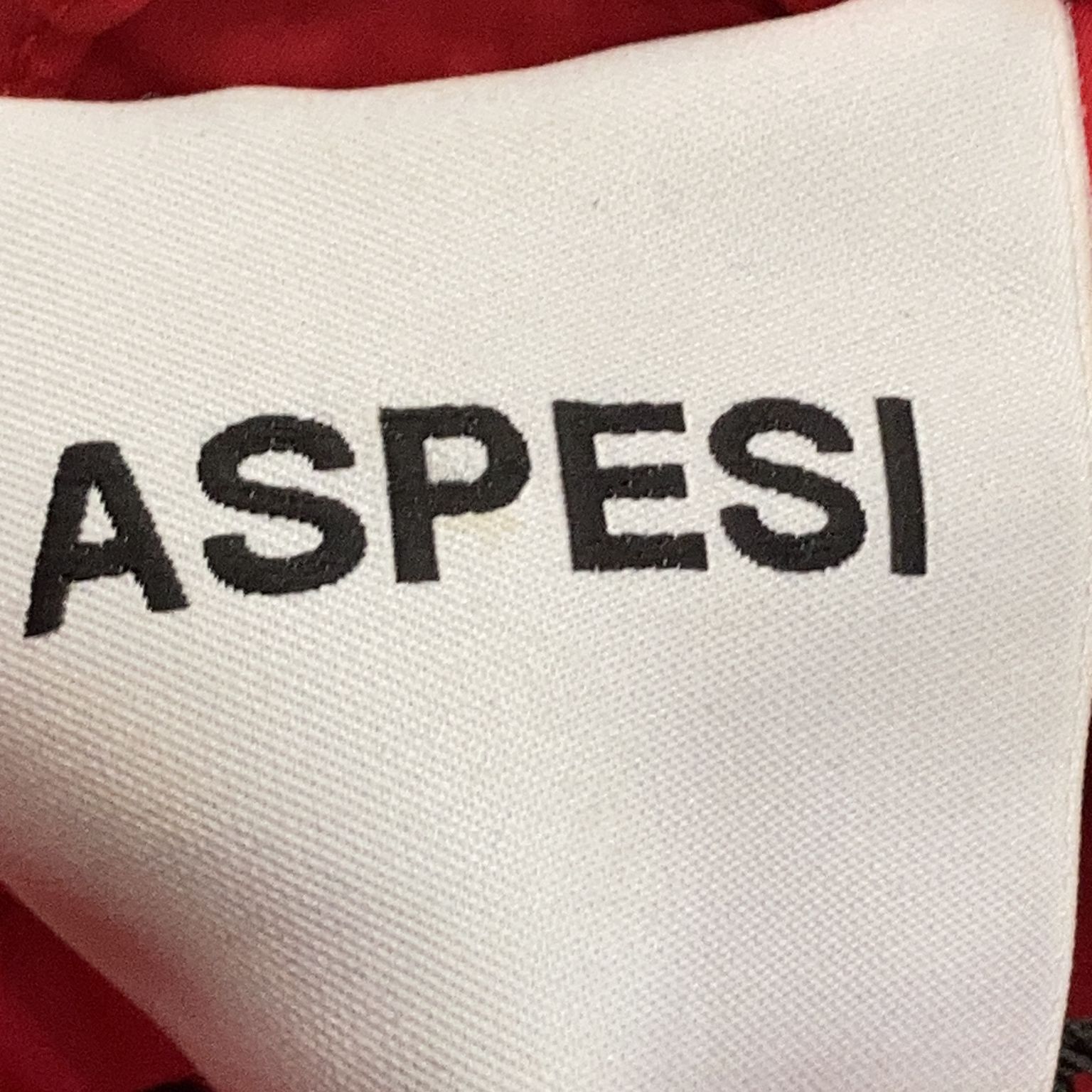 Aspesi