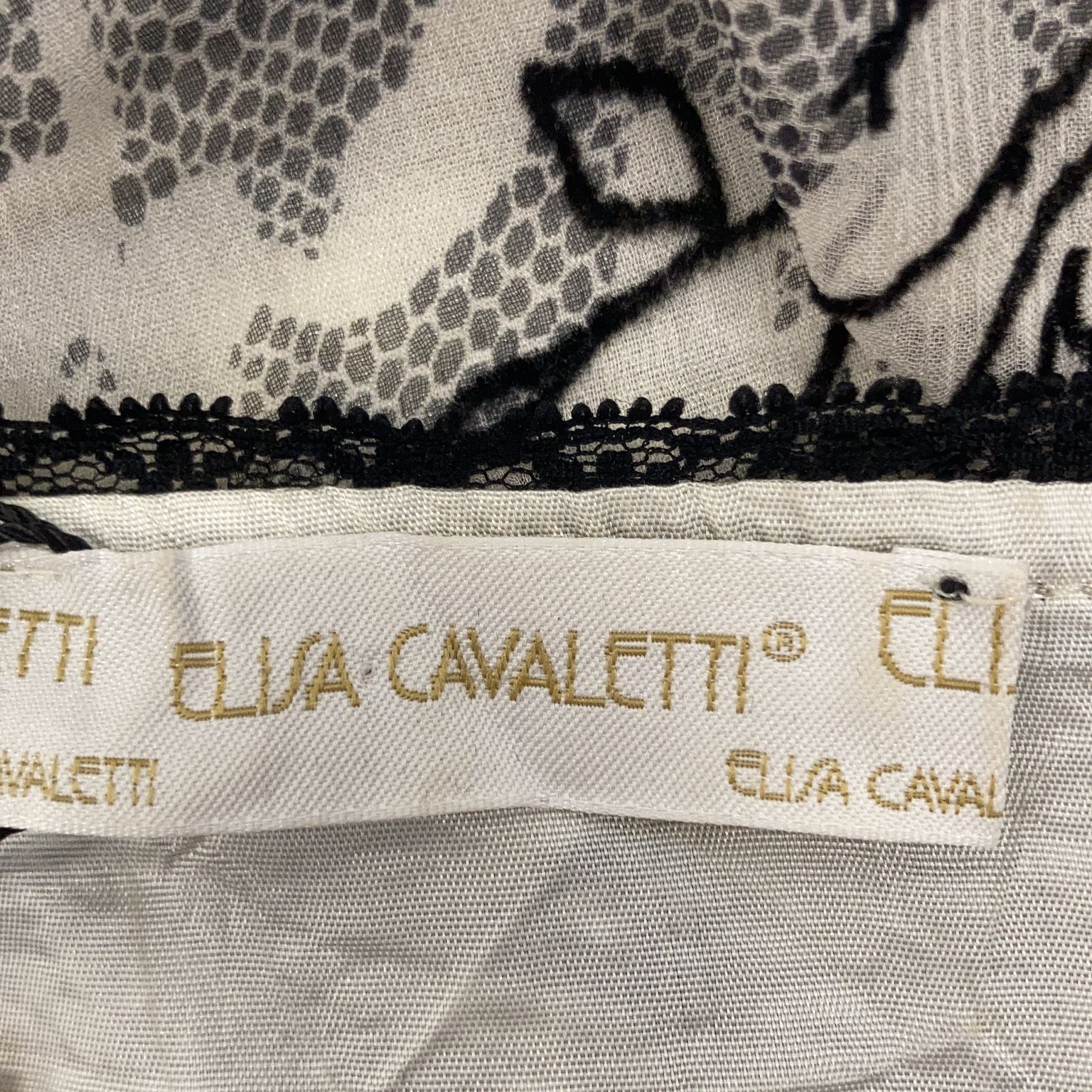 Elisa Cavaletti