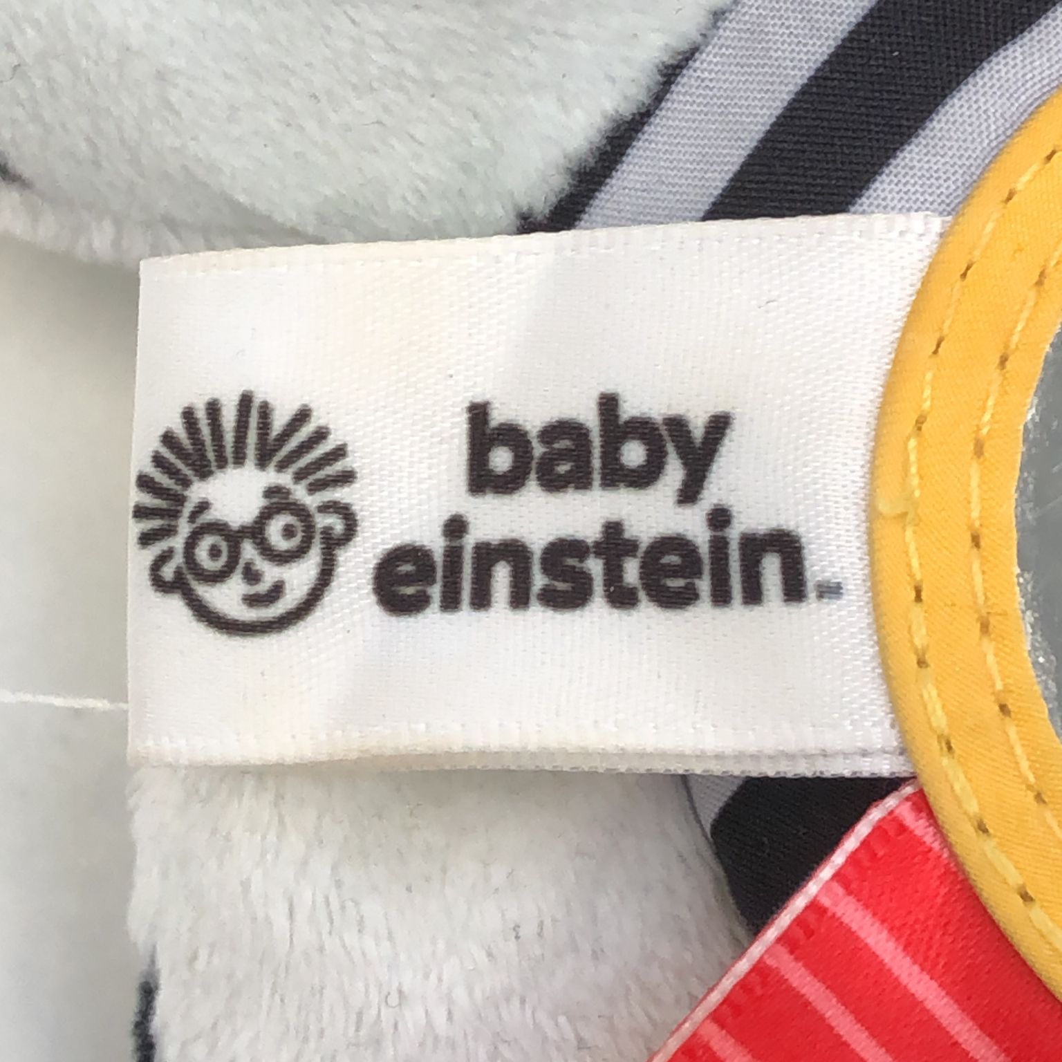 Baby Einstein