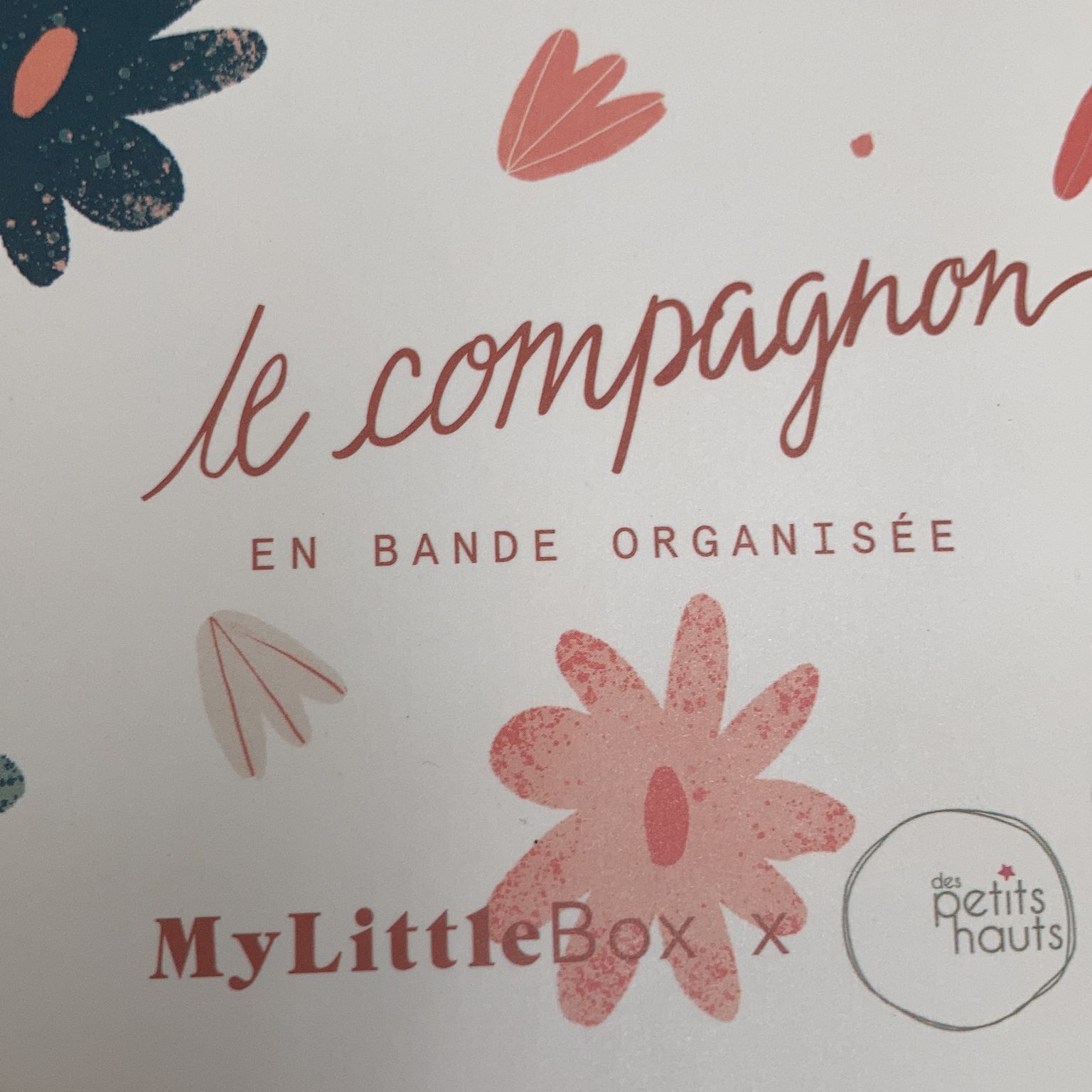 My Little Box x Des Petits Hauts