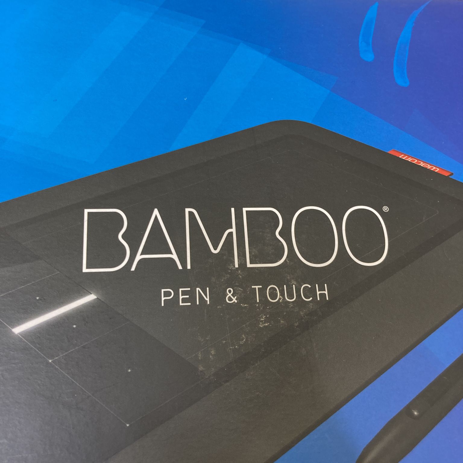 Bamboo