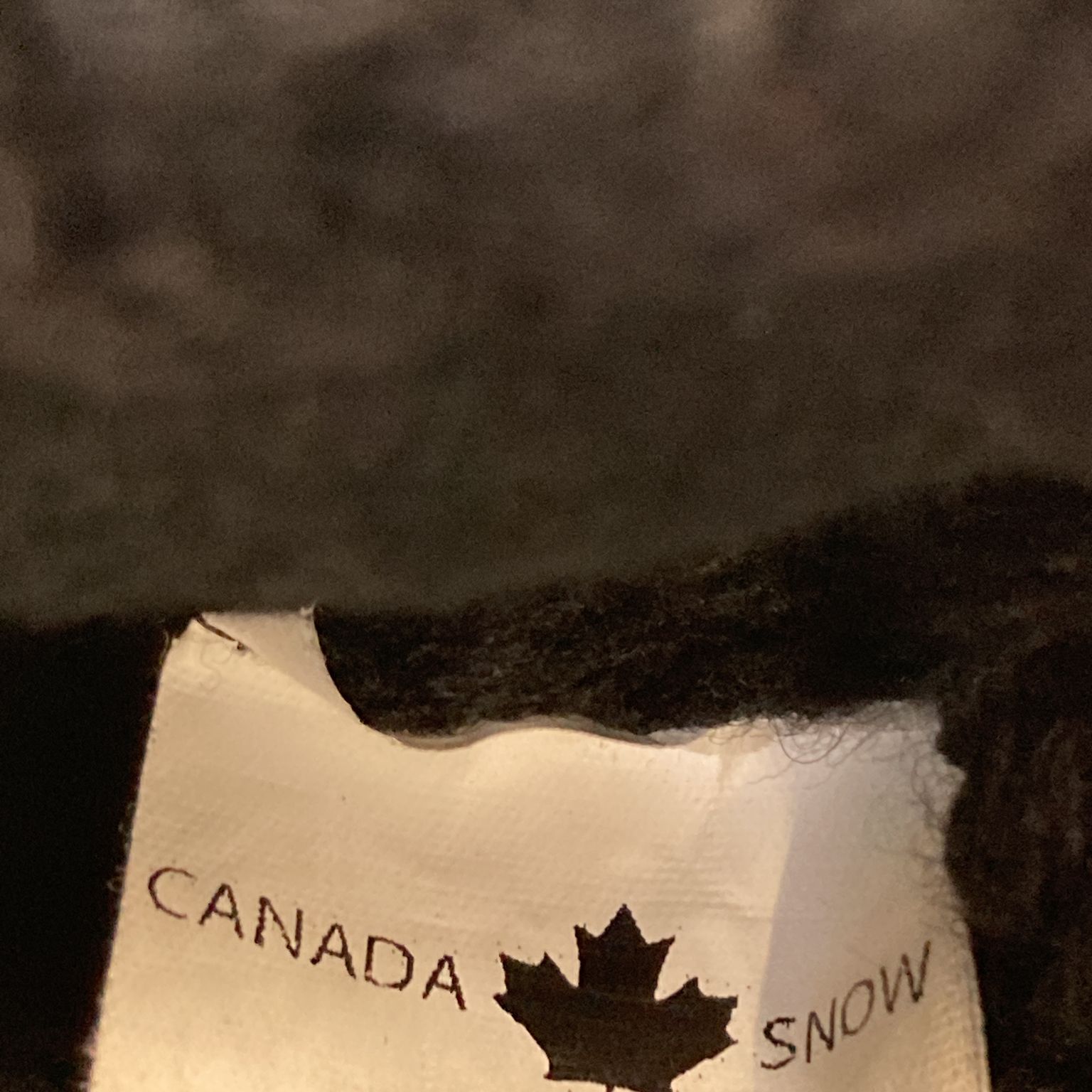 Canada Snow