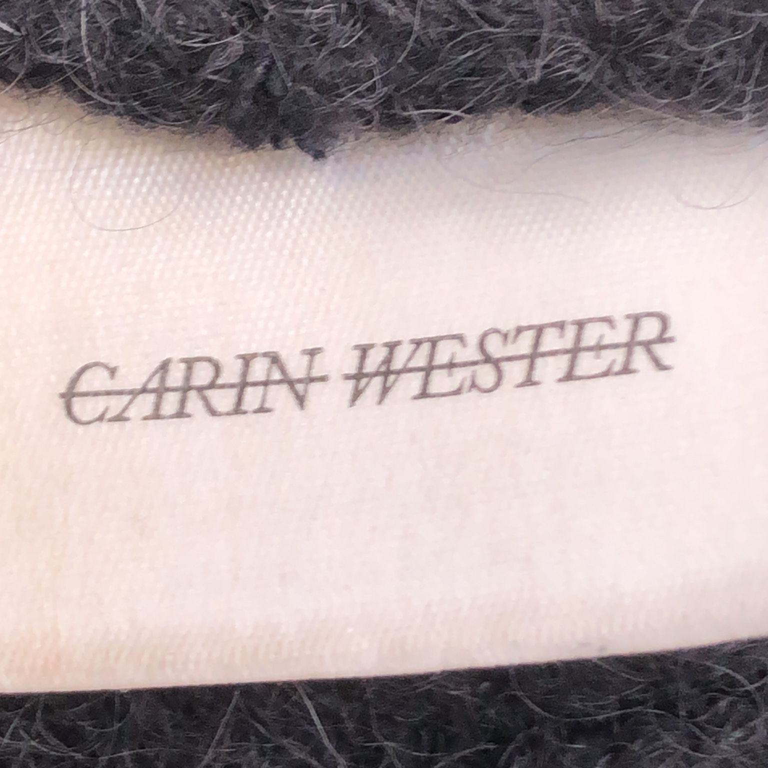 Carin Wester