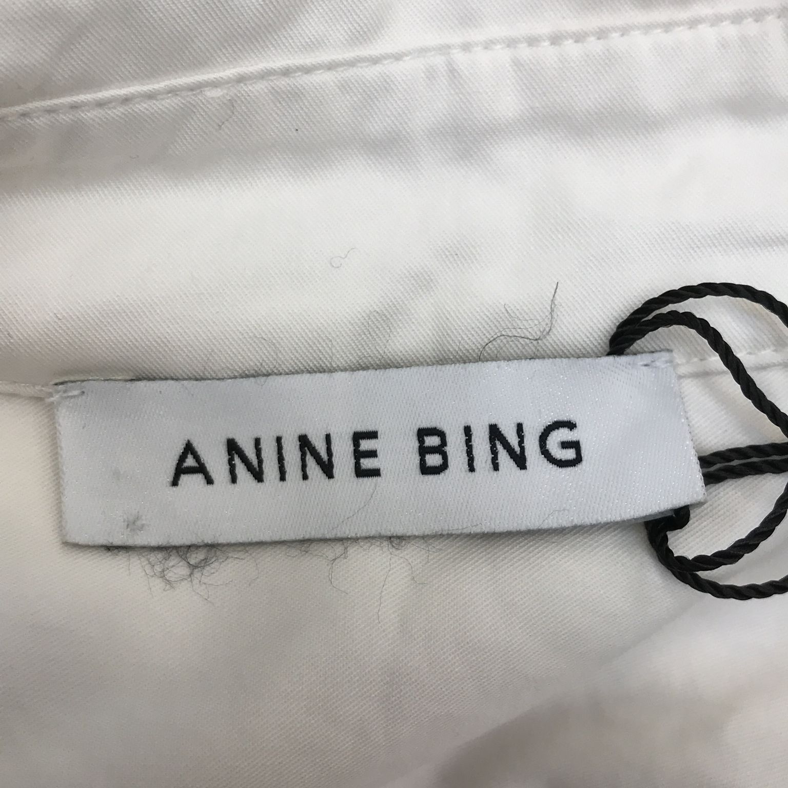 Anine Bing