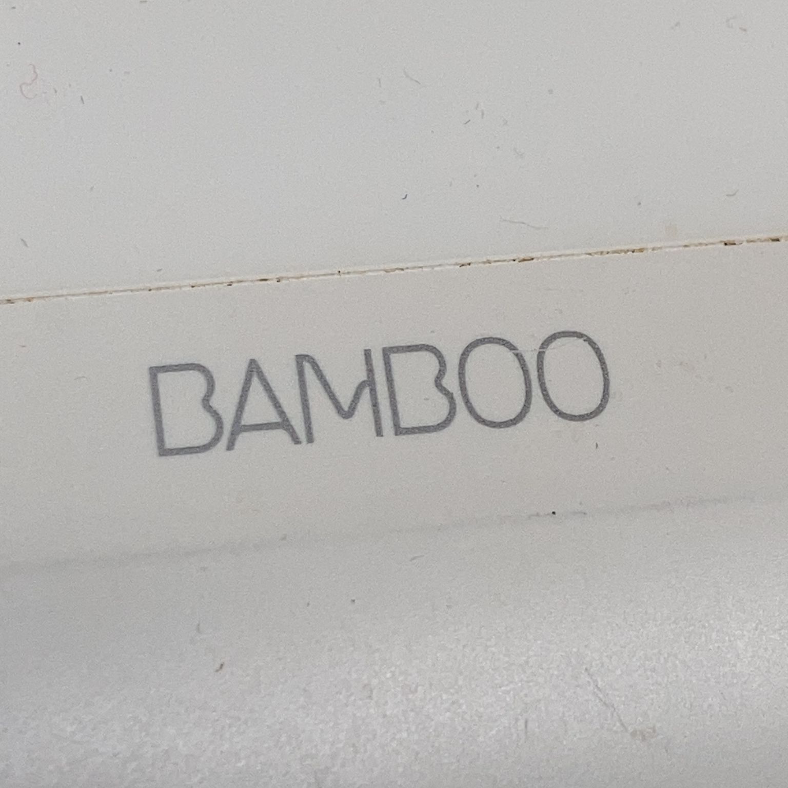 Bamboo