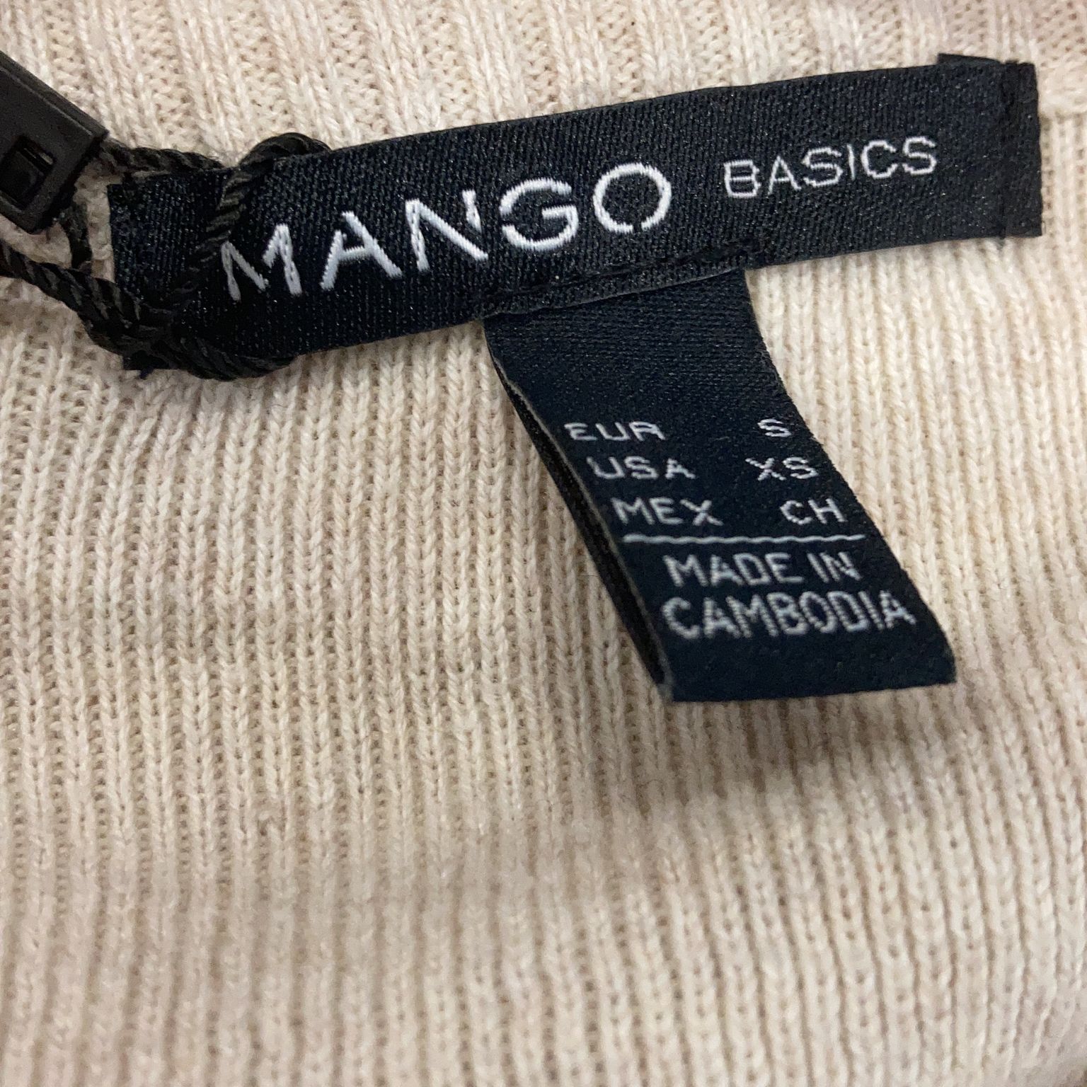 Mango Basics