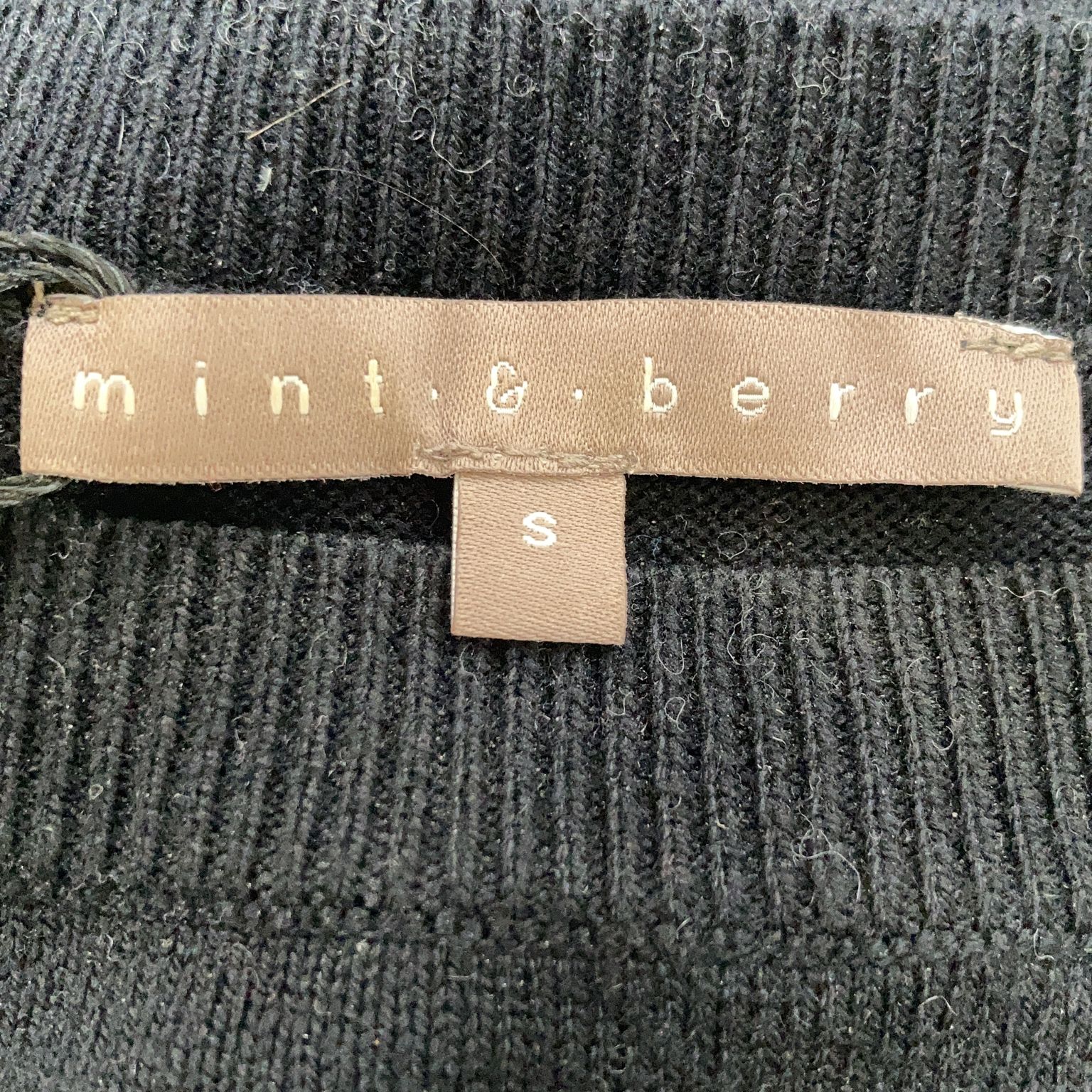 Mint  Berry