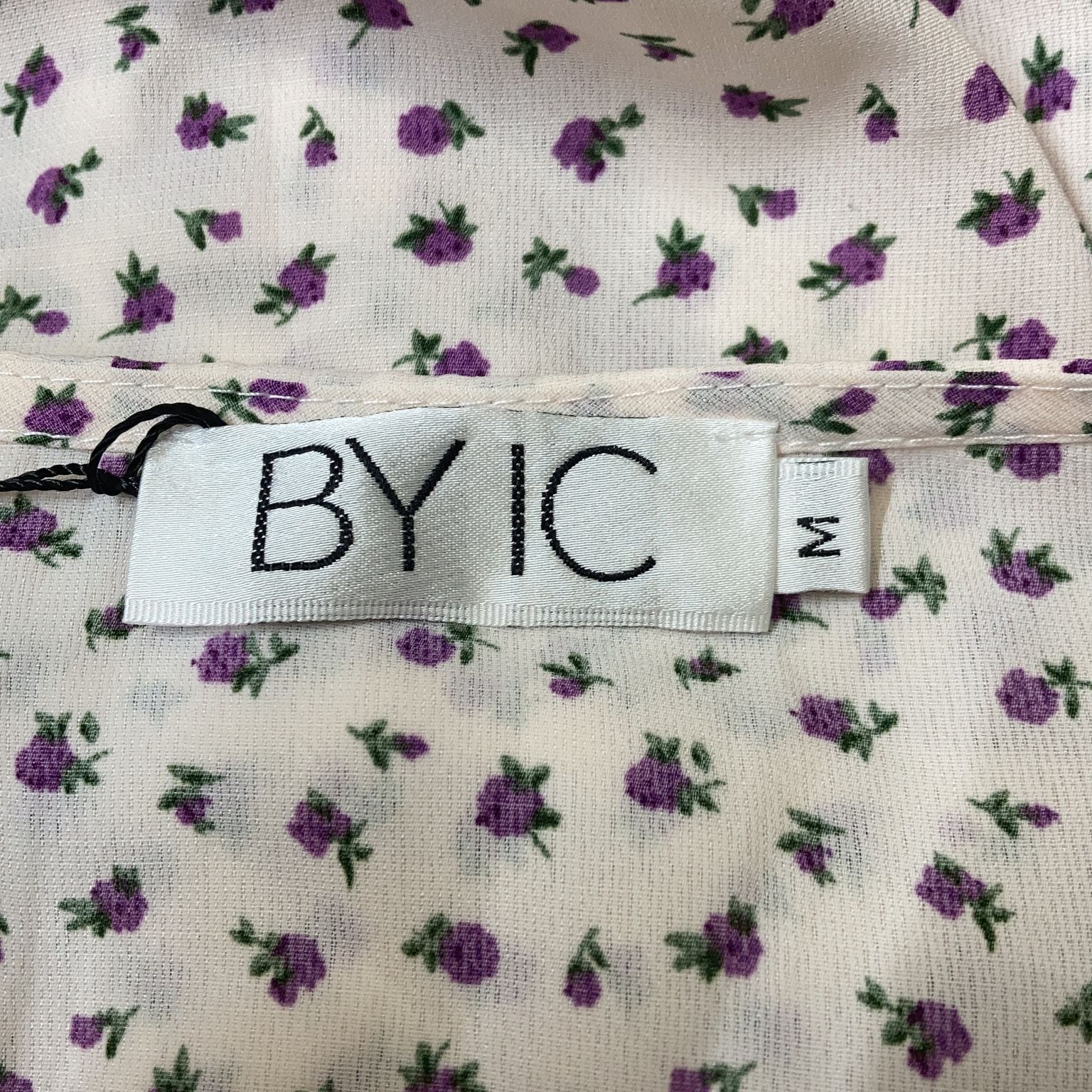 BYIC