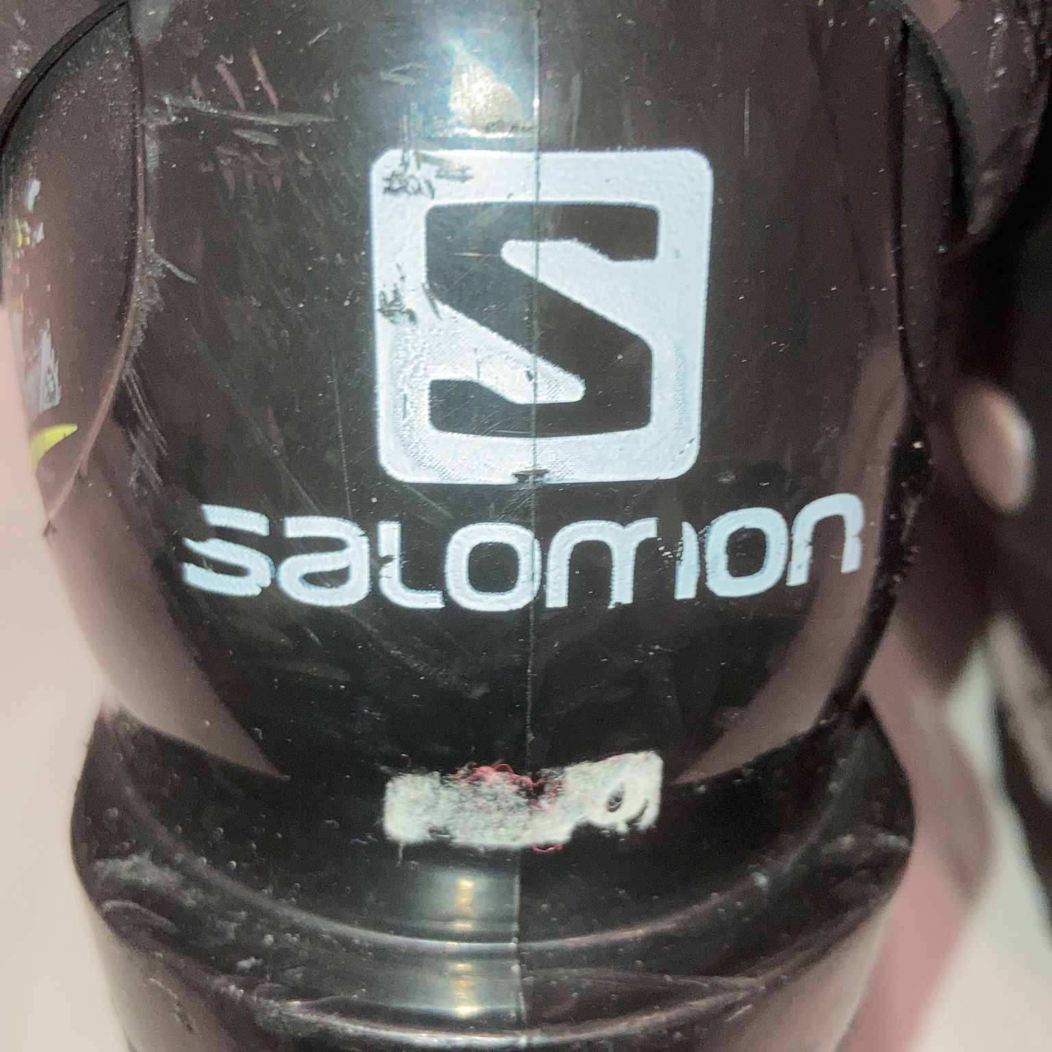 Salomon