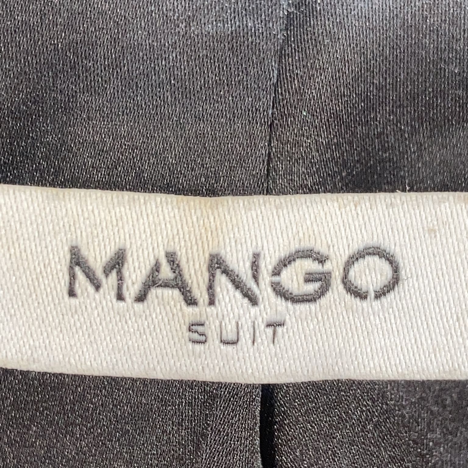 Mango Suit