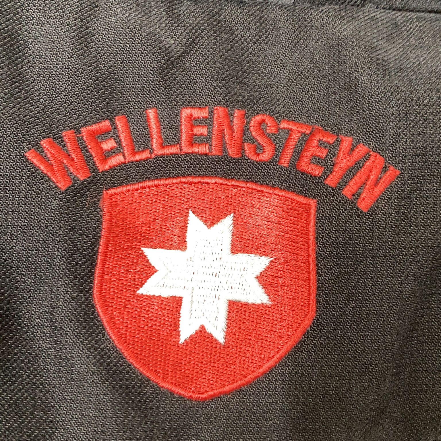 Wellensteyn