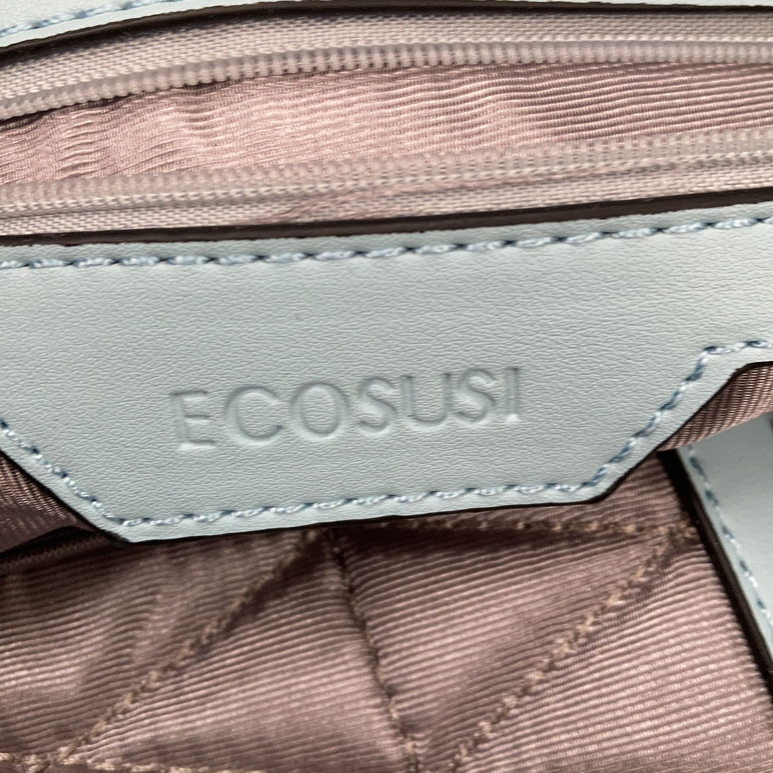 Ecosusi