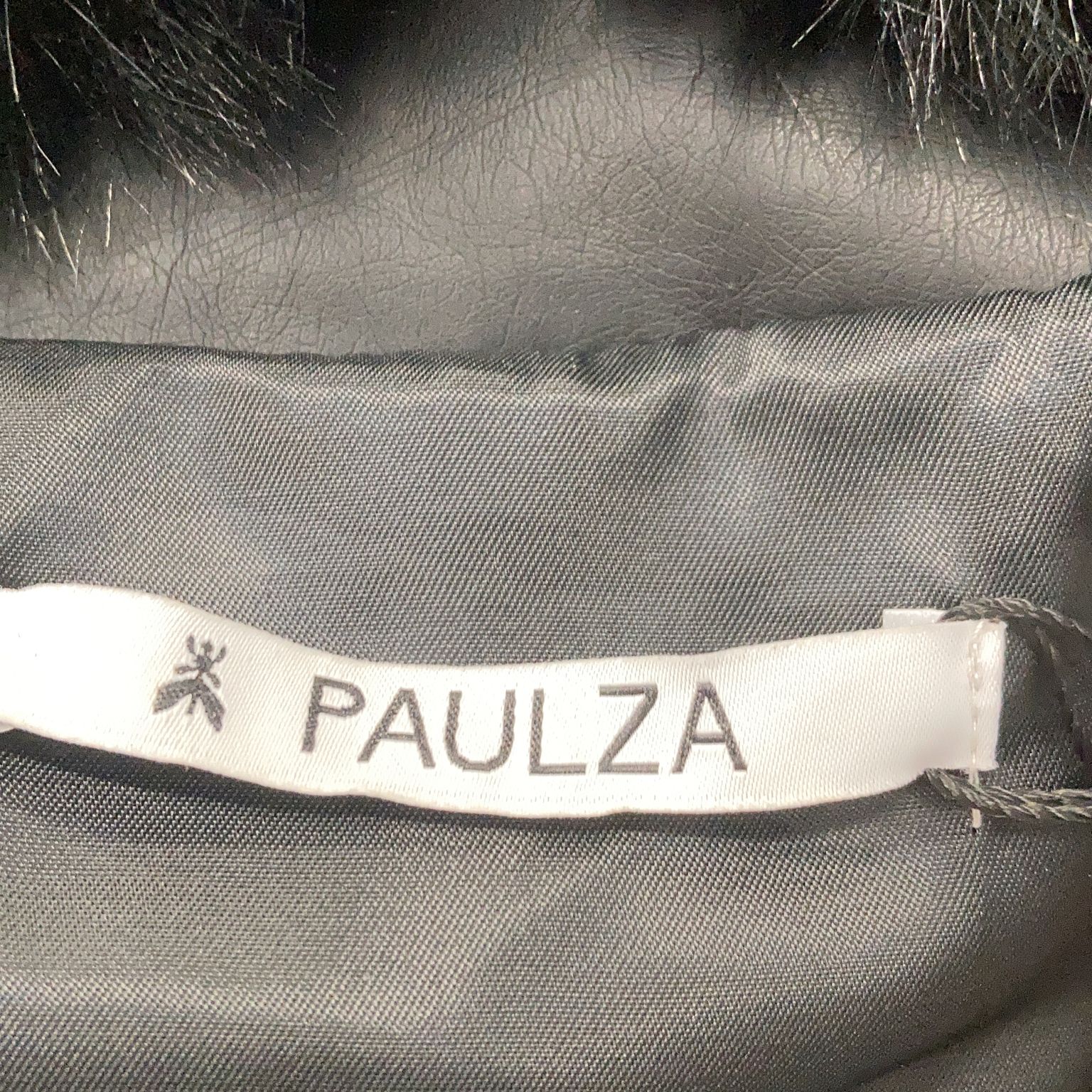 Paulza