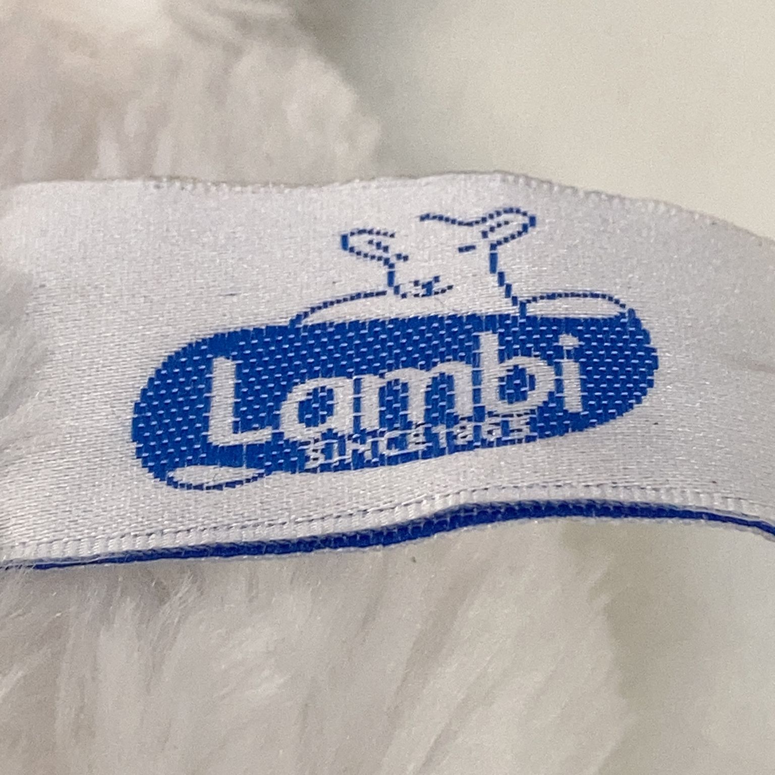 Lambi