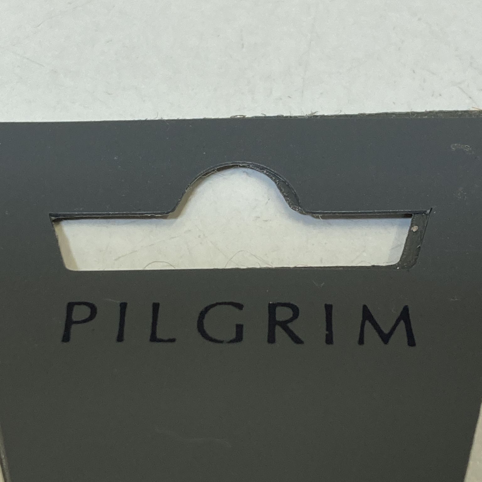 Pilgrim