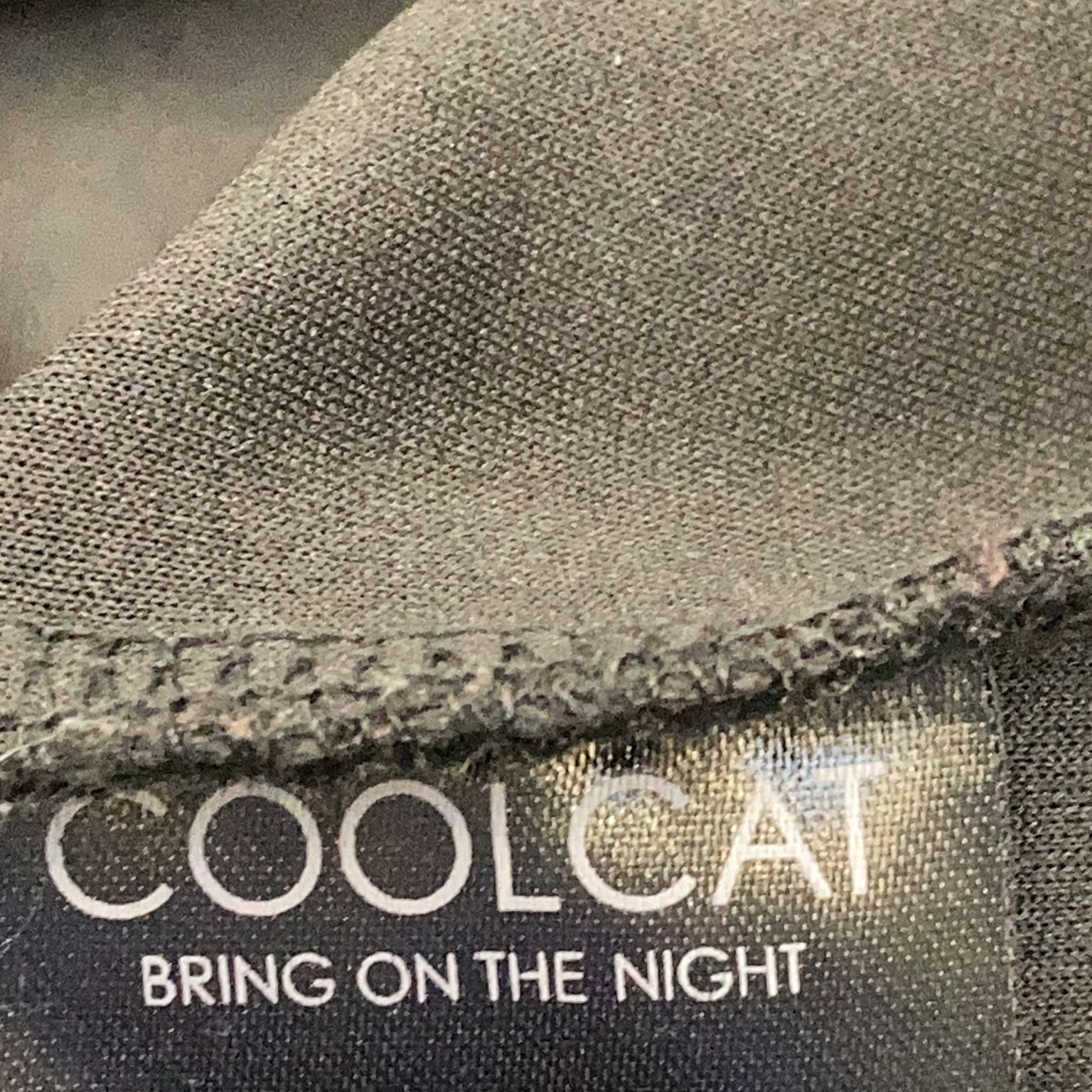 CoolCat