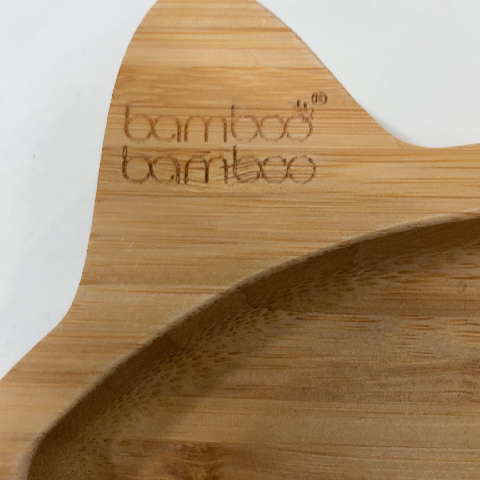 Bamboo