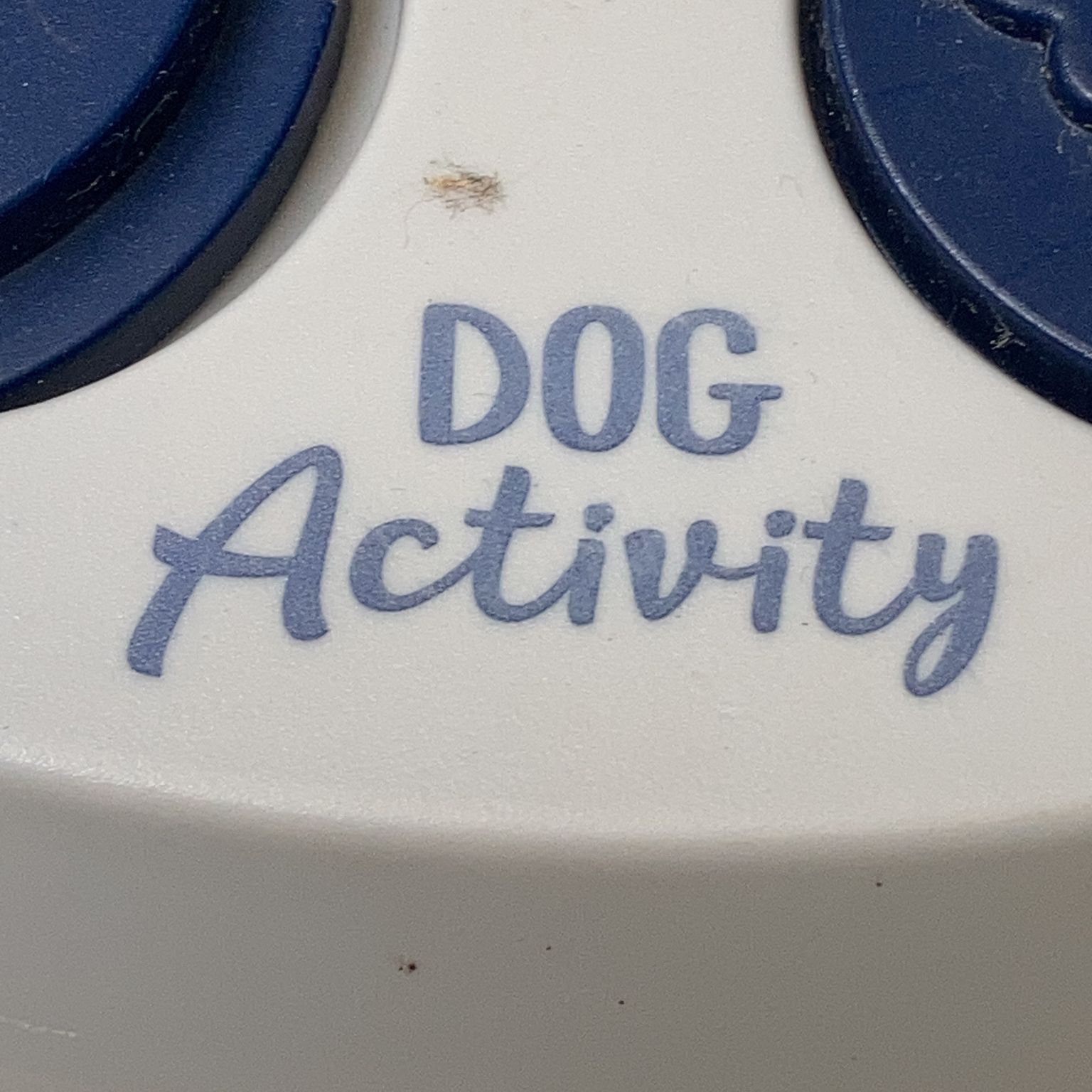 Dog Activity