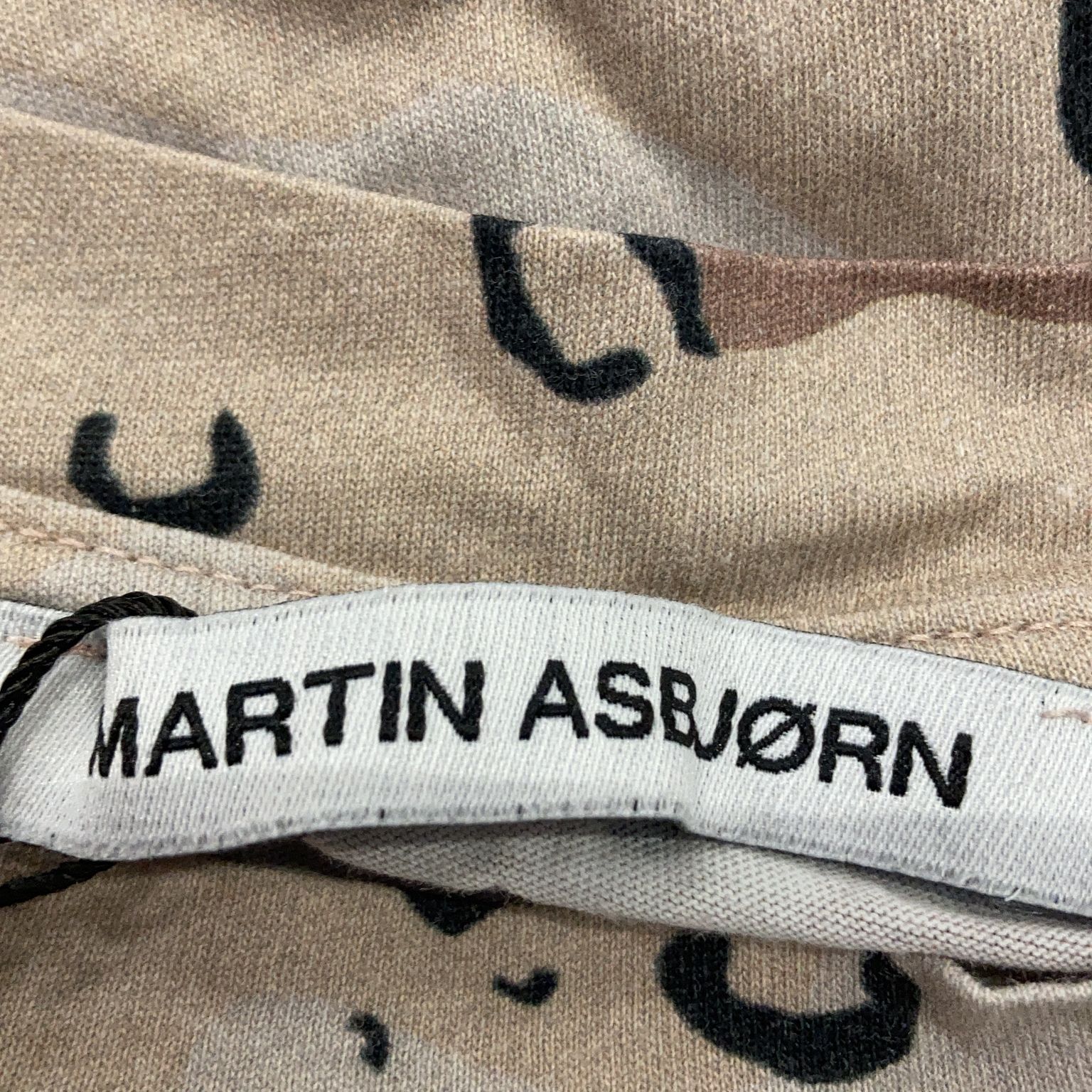 Martin Asbjørn