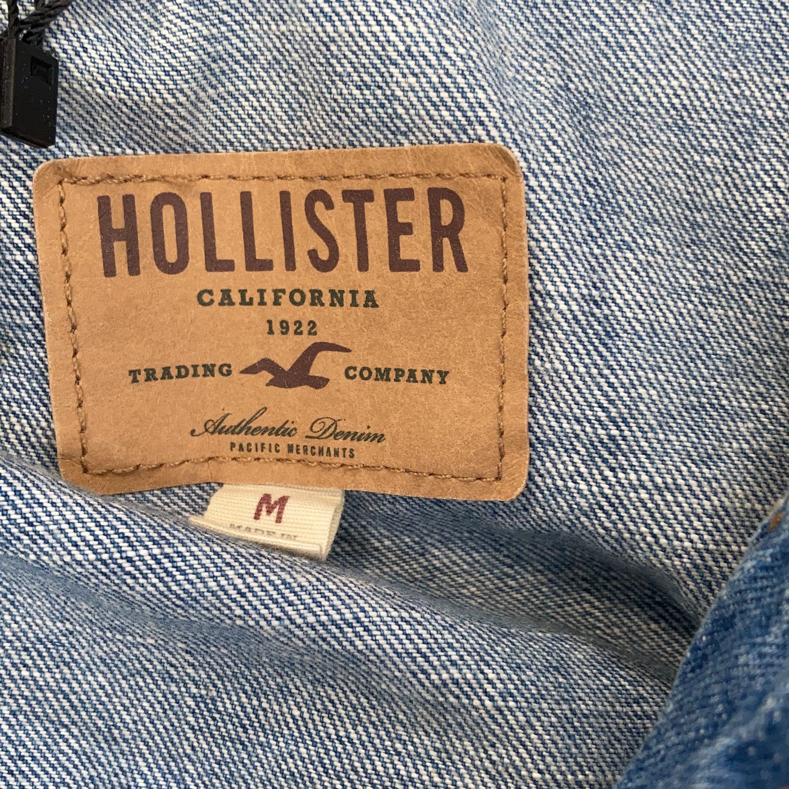 Hollister