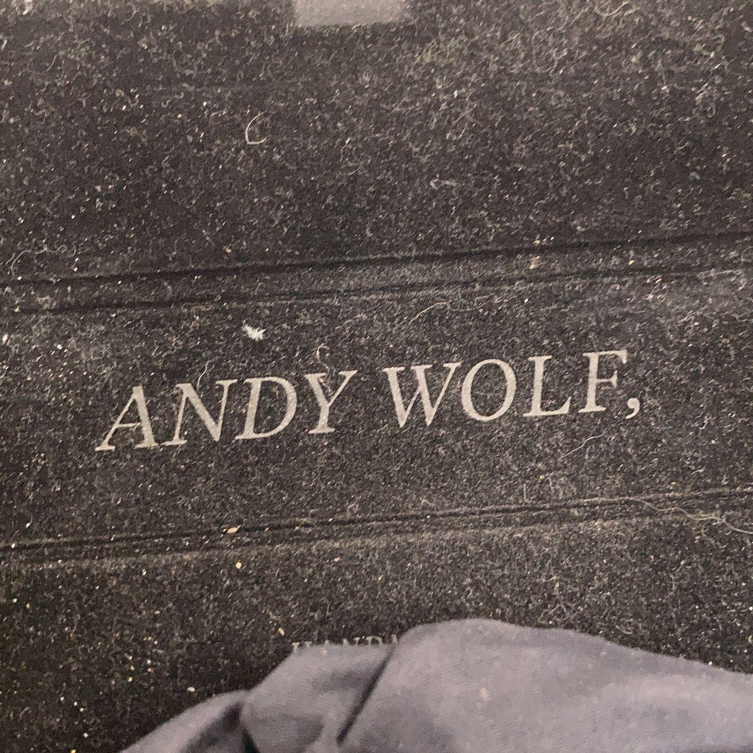 Andy Wolf